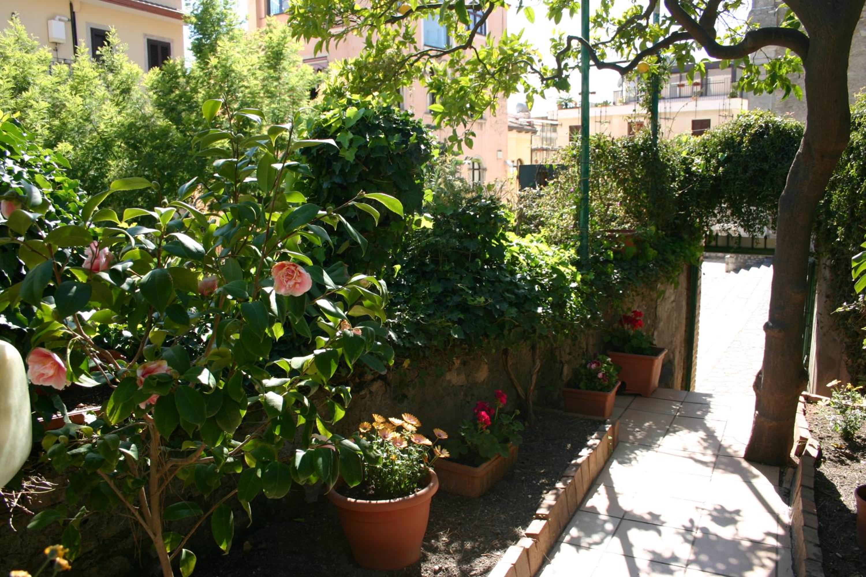Photo 22