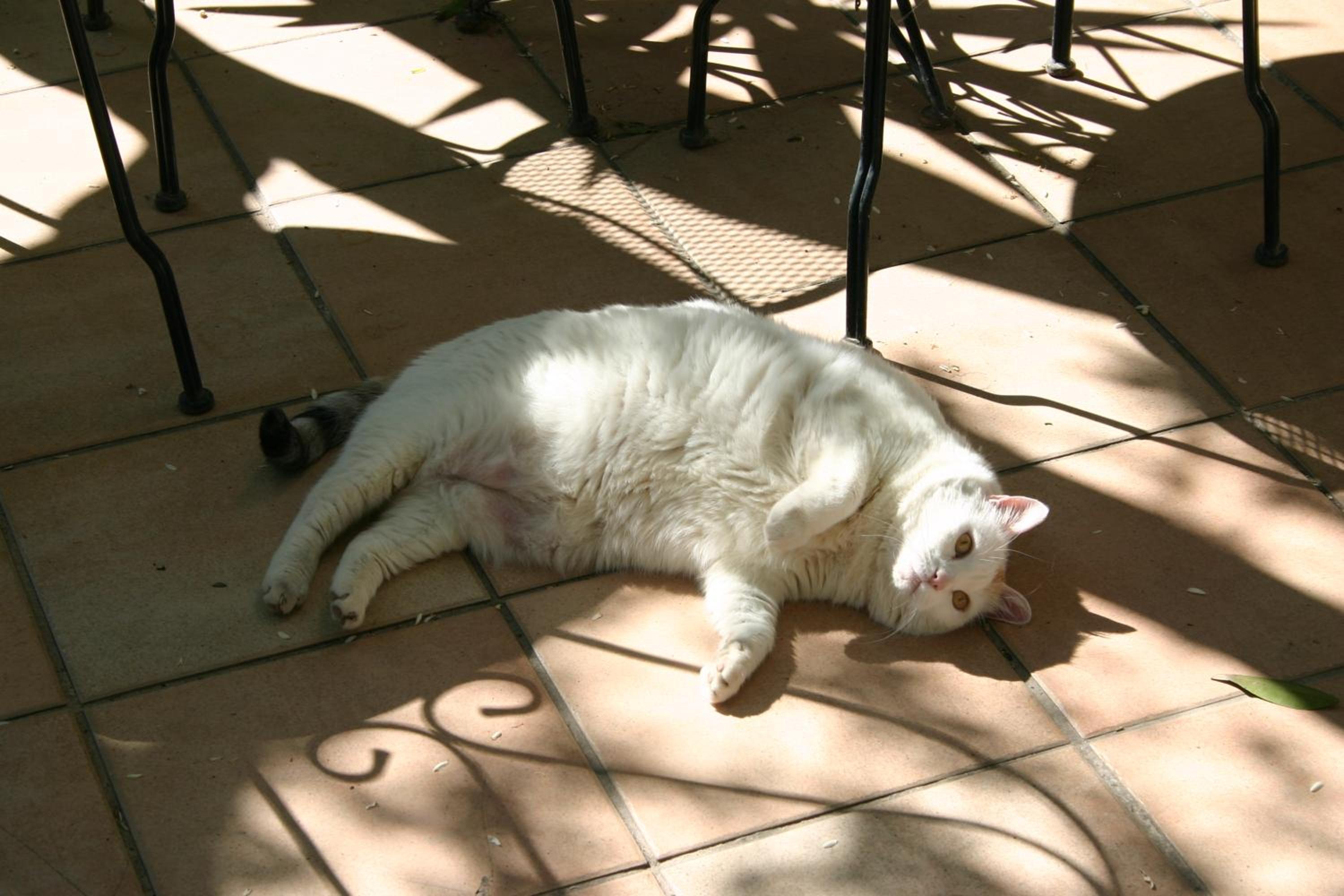 Photo 24