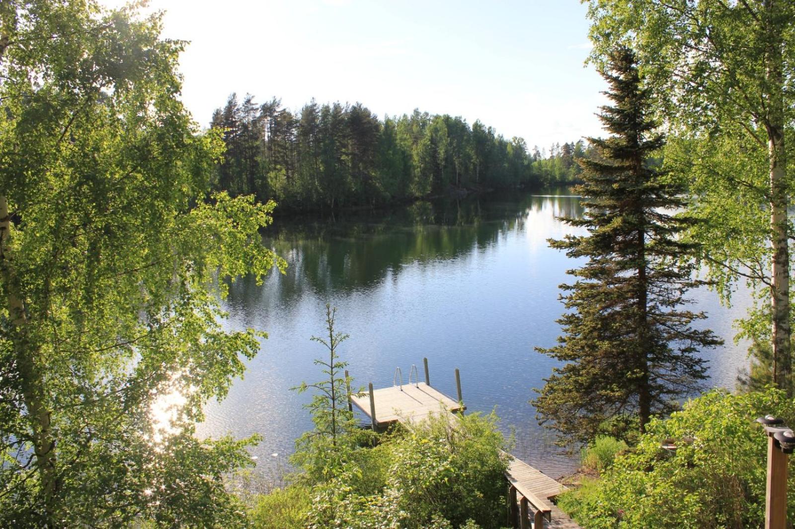 Vuorenhelmi view 2