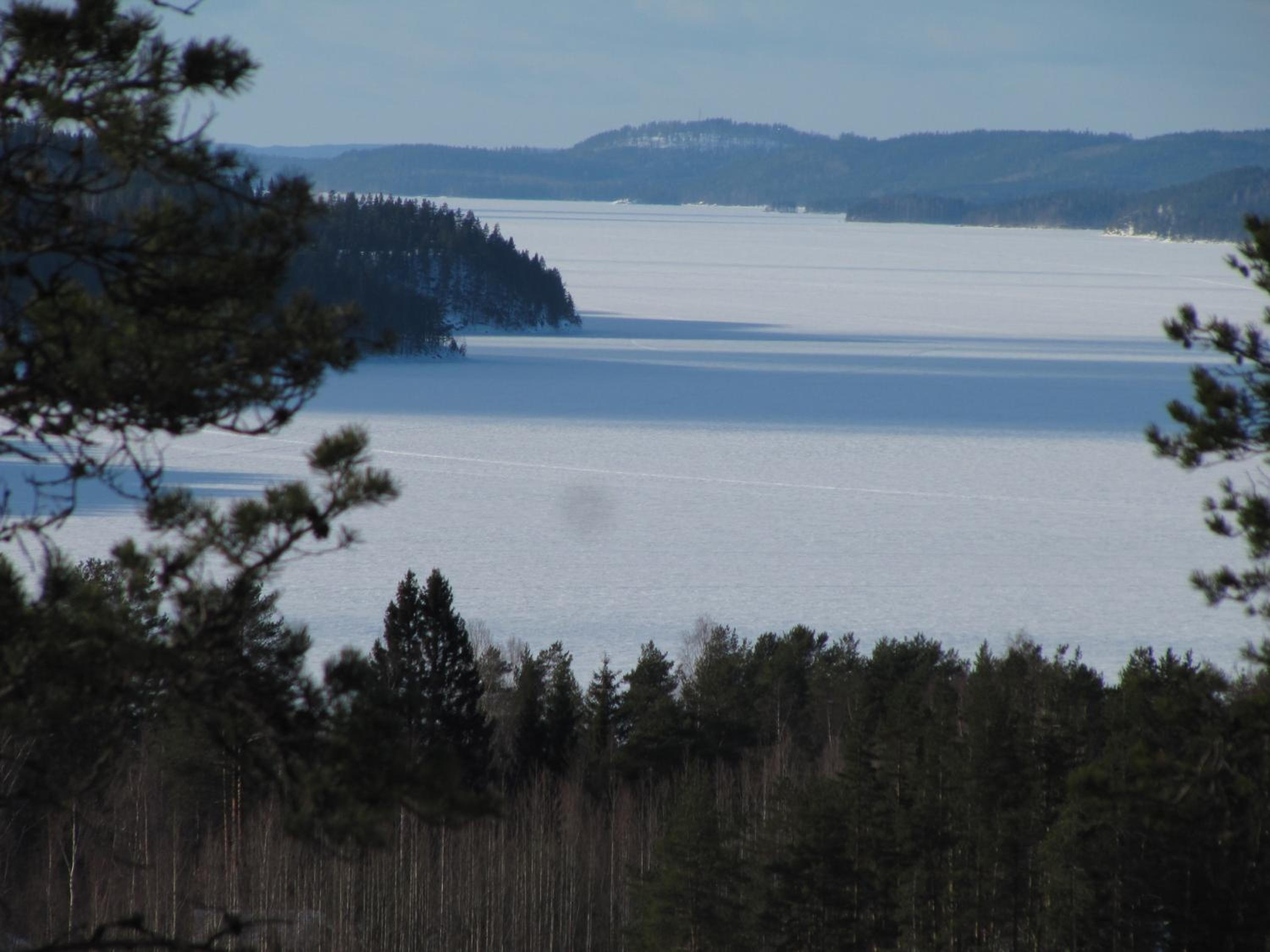 Vuorenhelmi view 5
