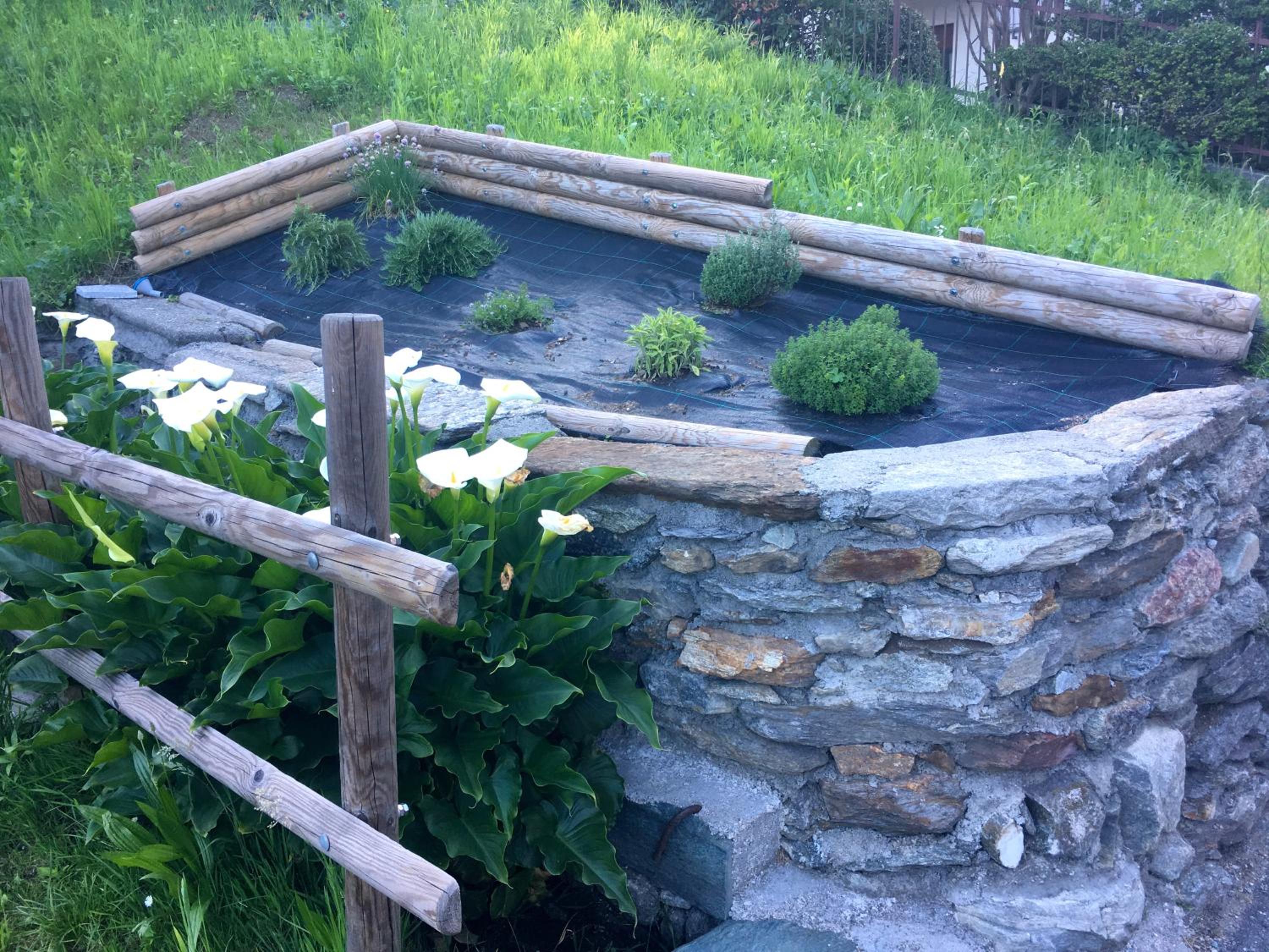 Photo 21