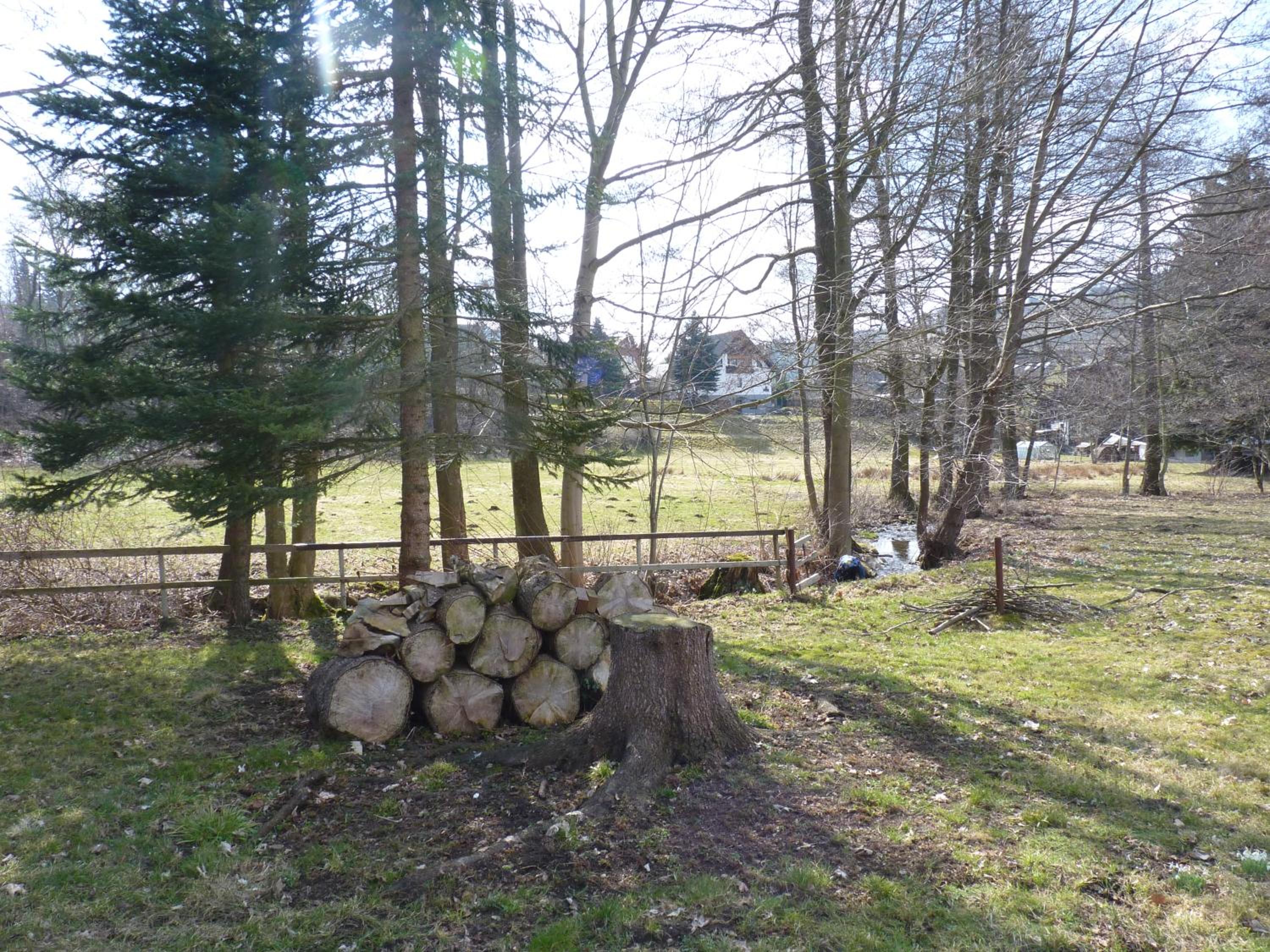 Photo 19