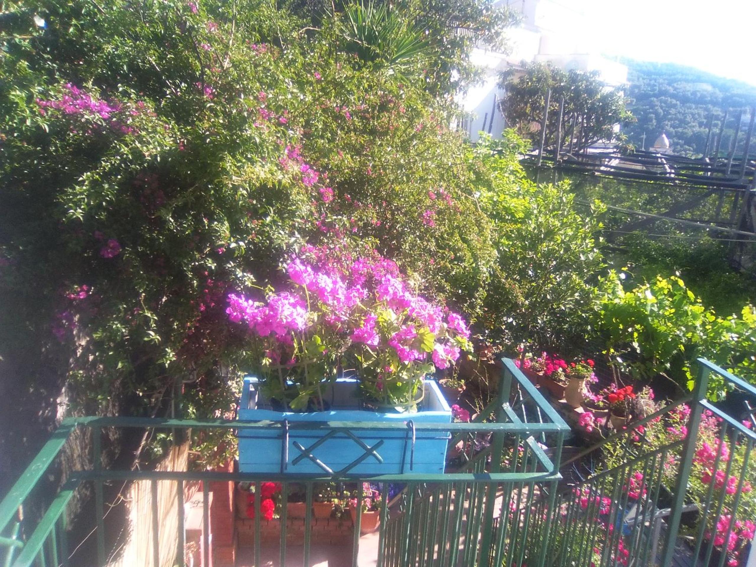 Isabella Massalubrense photo 3