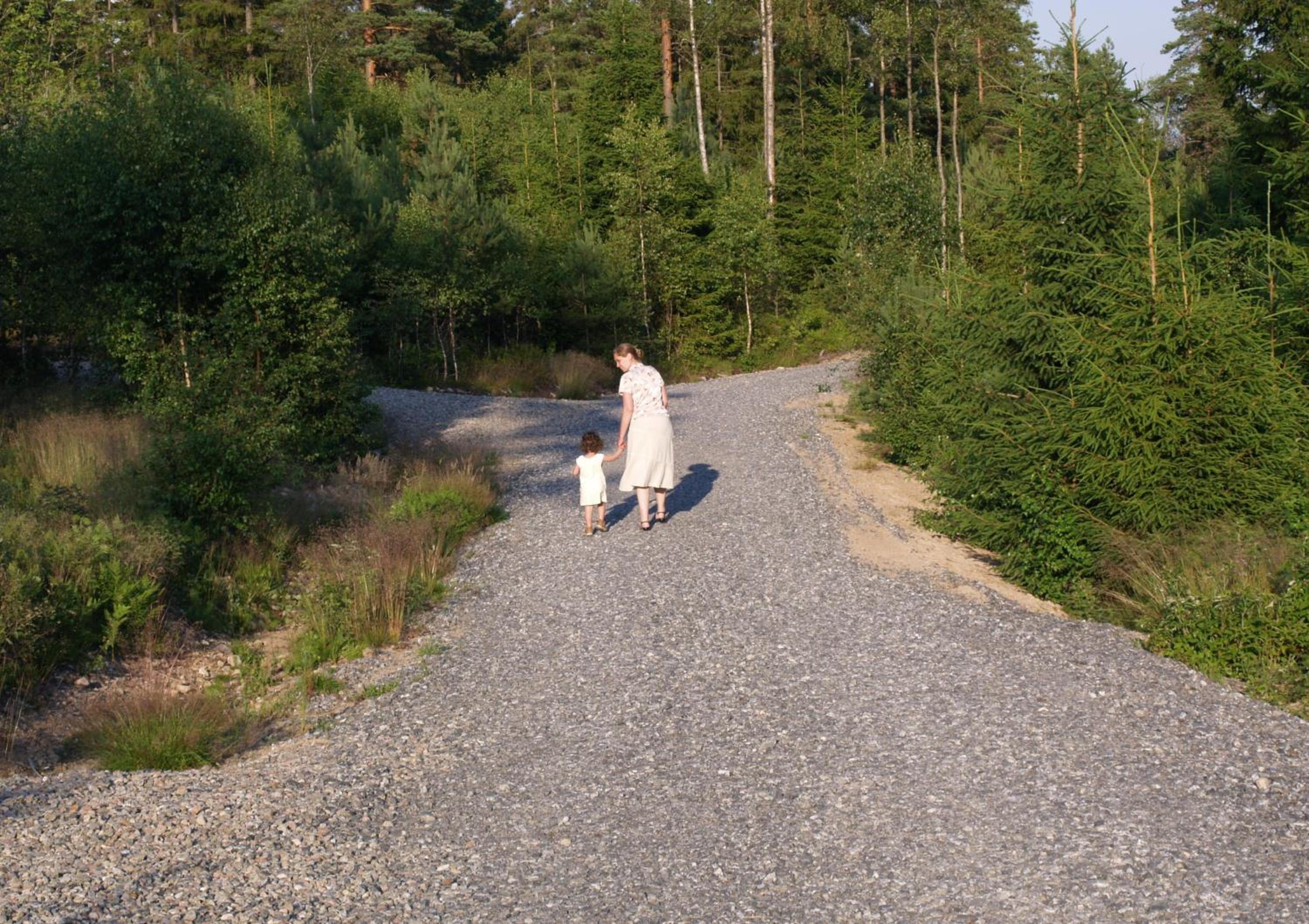 Photo 38
