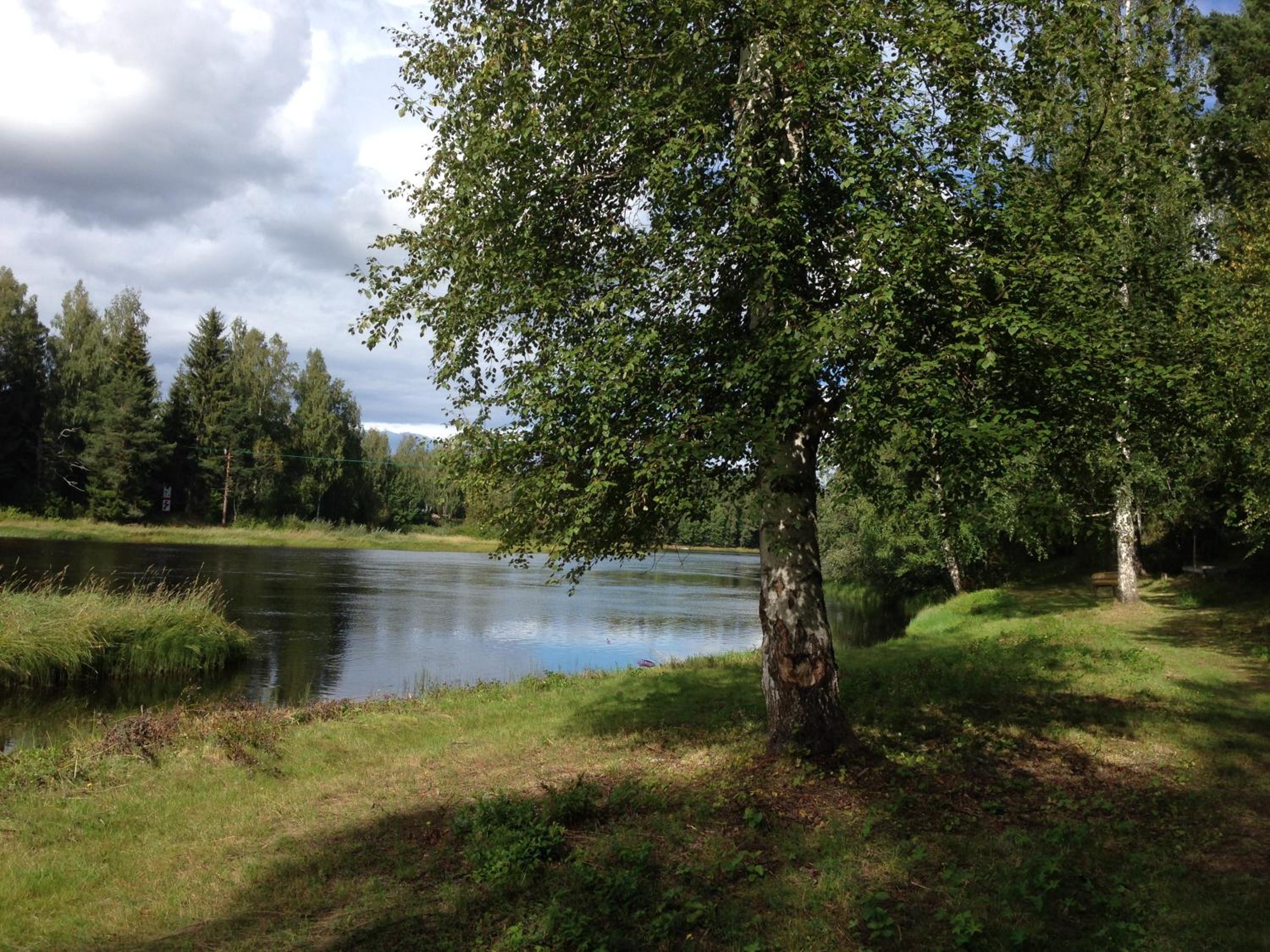 Photo 33