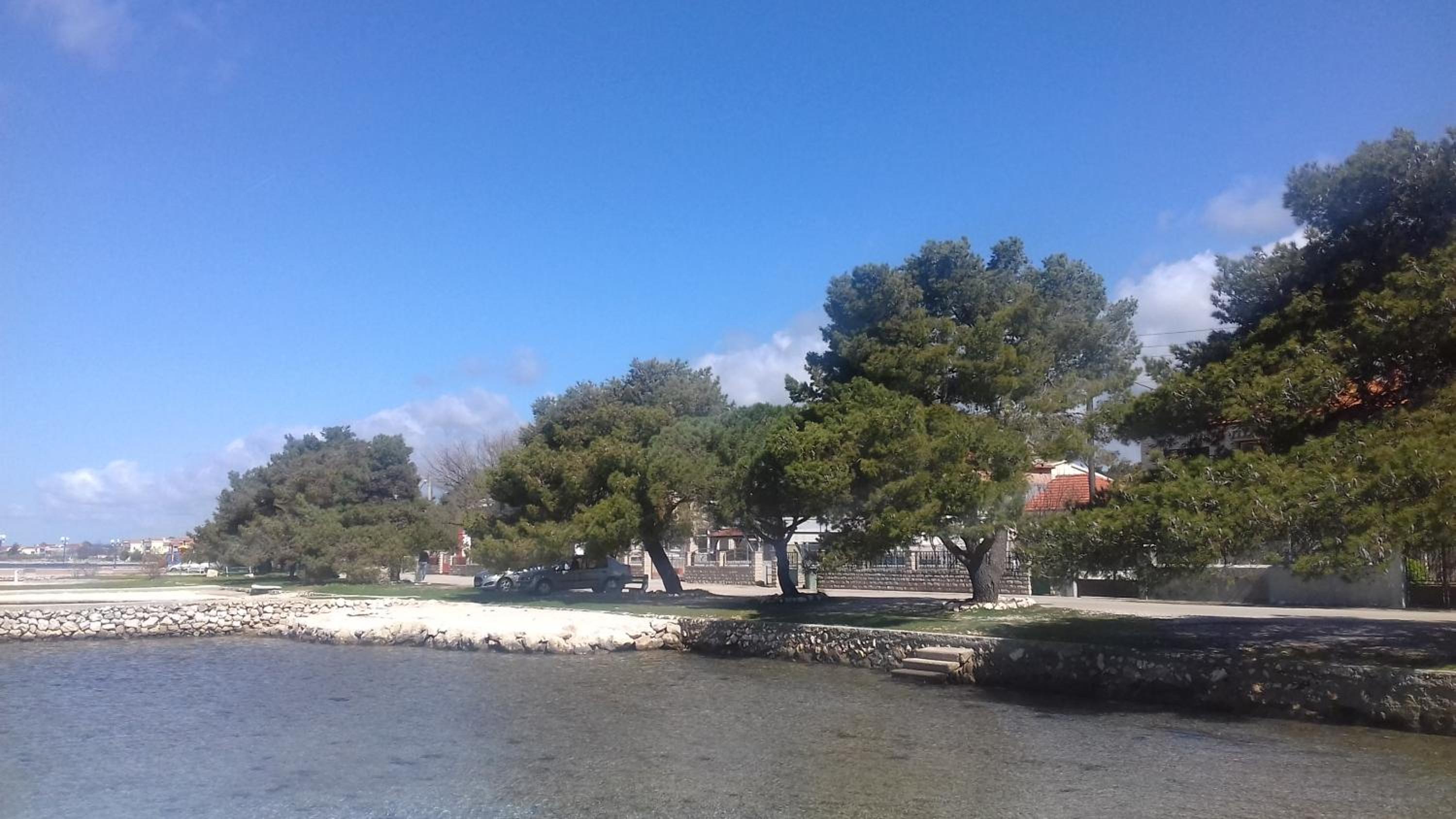 Photo 48