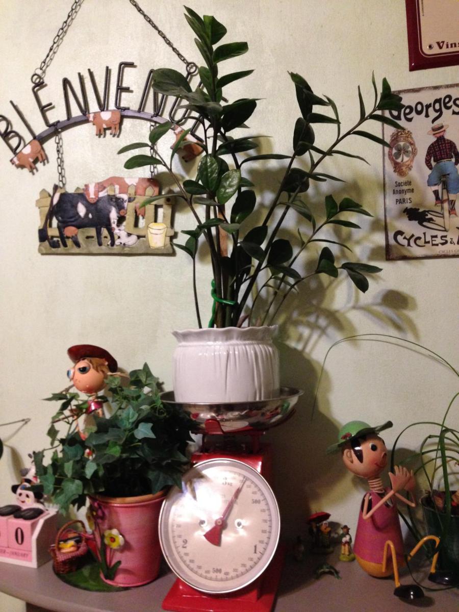 Photo 7