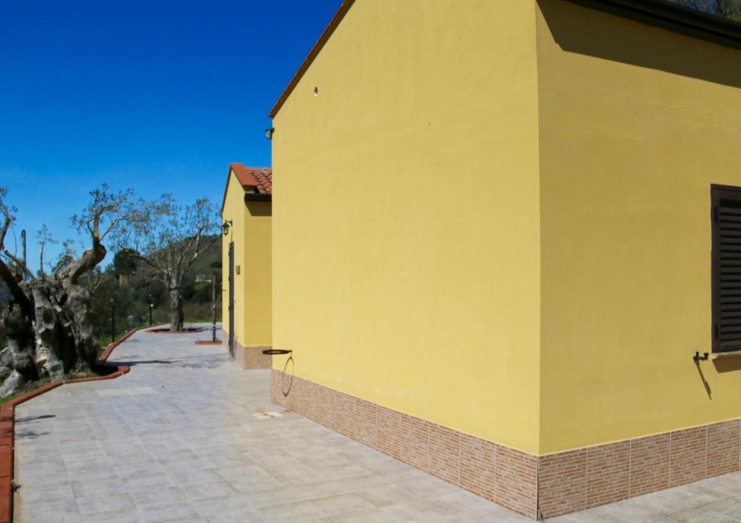 Photo 41