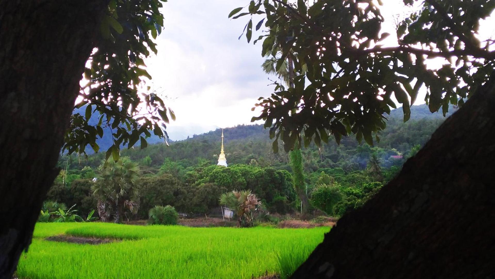Suan Sook Homestay