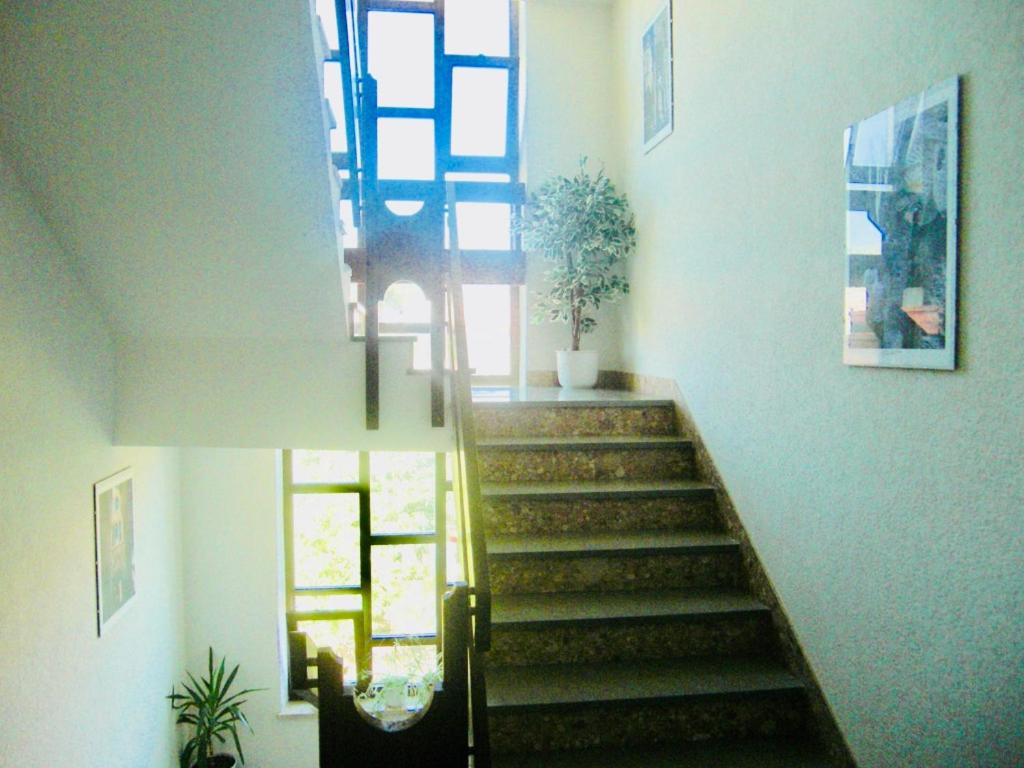 Photo 57