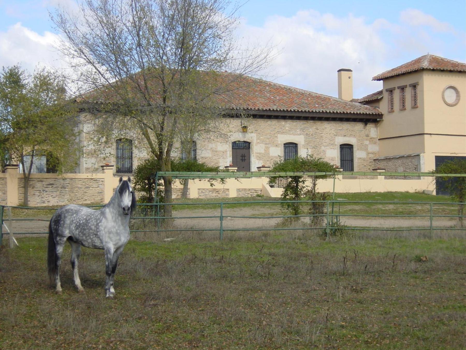 Casa Rural La Torrecilla con PISCINA PRIVADA