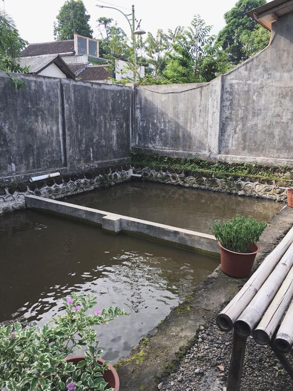 Juda Homestay view 3