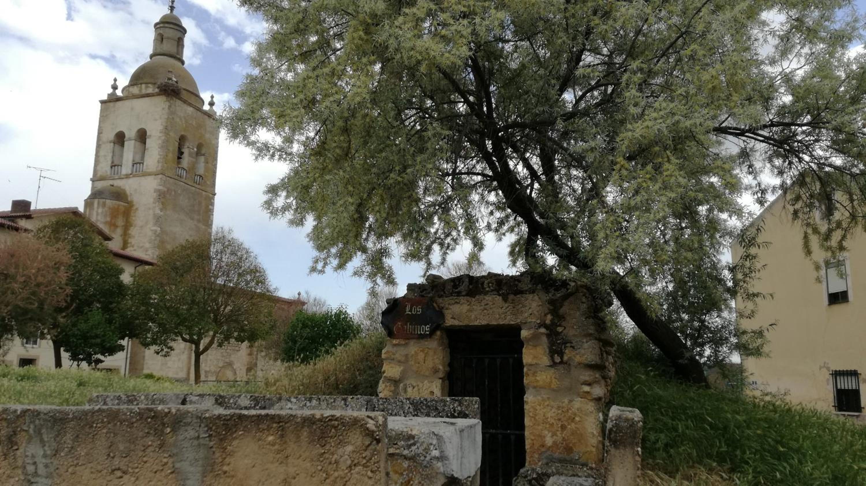Photo 20