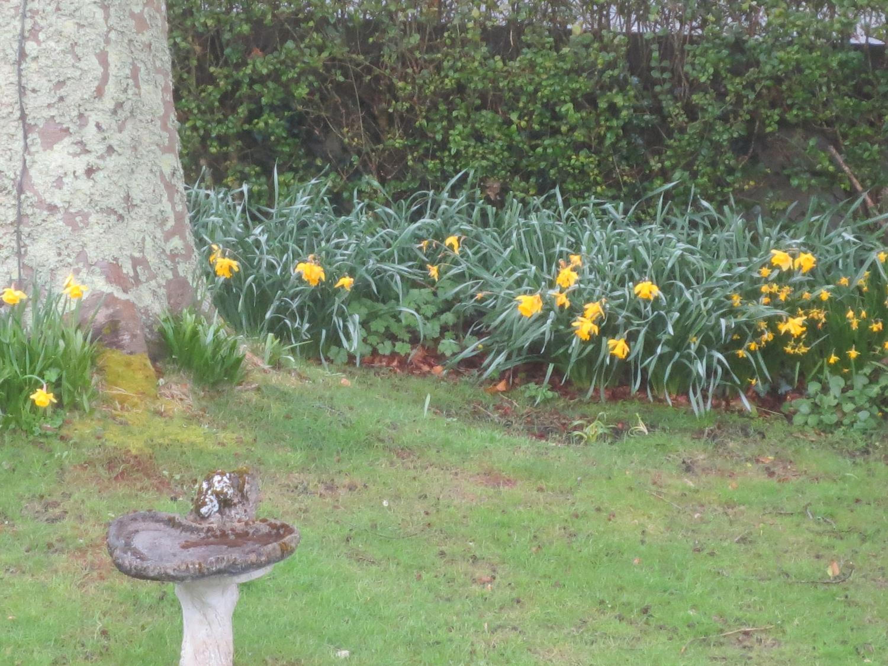 St Judes B&B