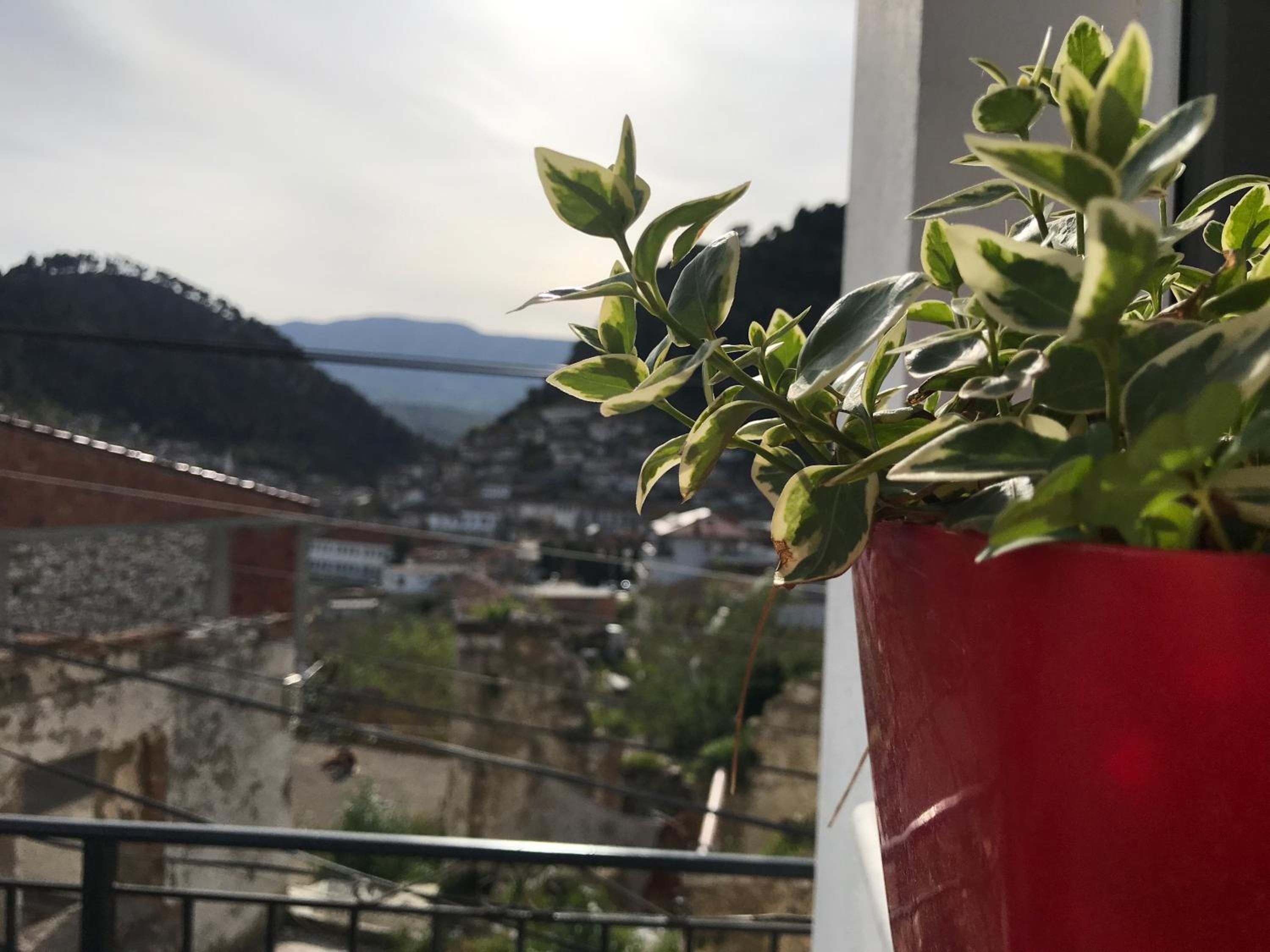Guesthouse BellaVista