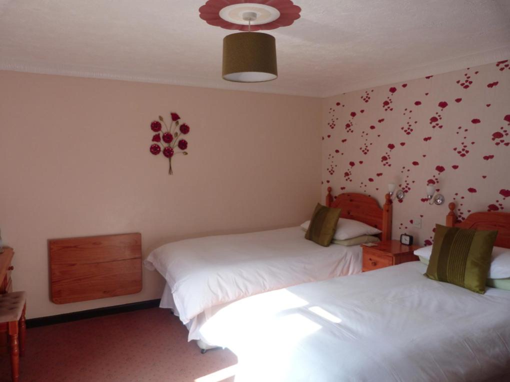 Neuadd Wen Guest House view 4