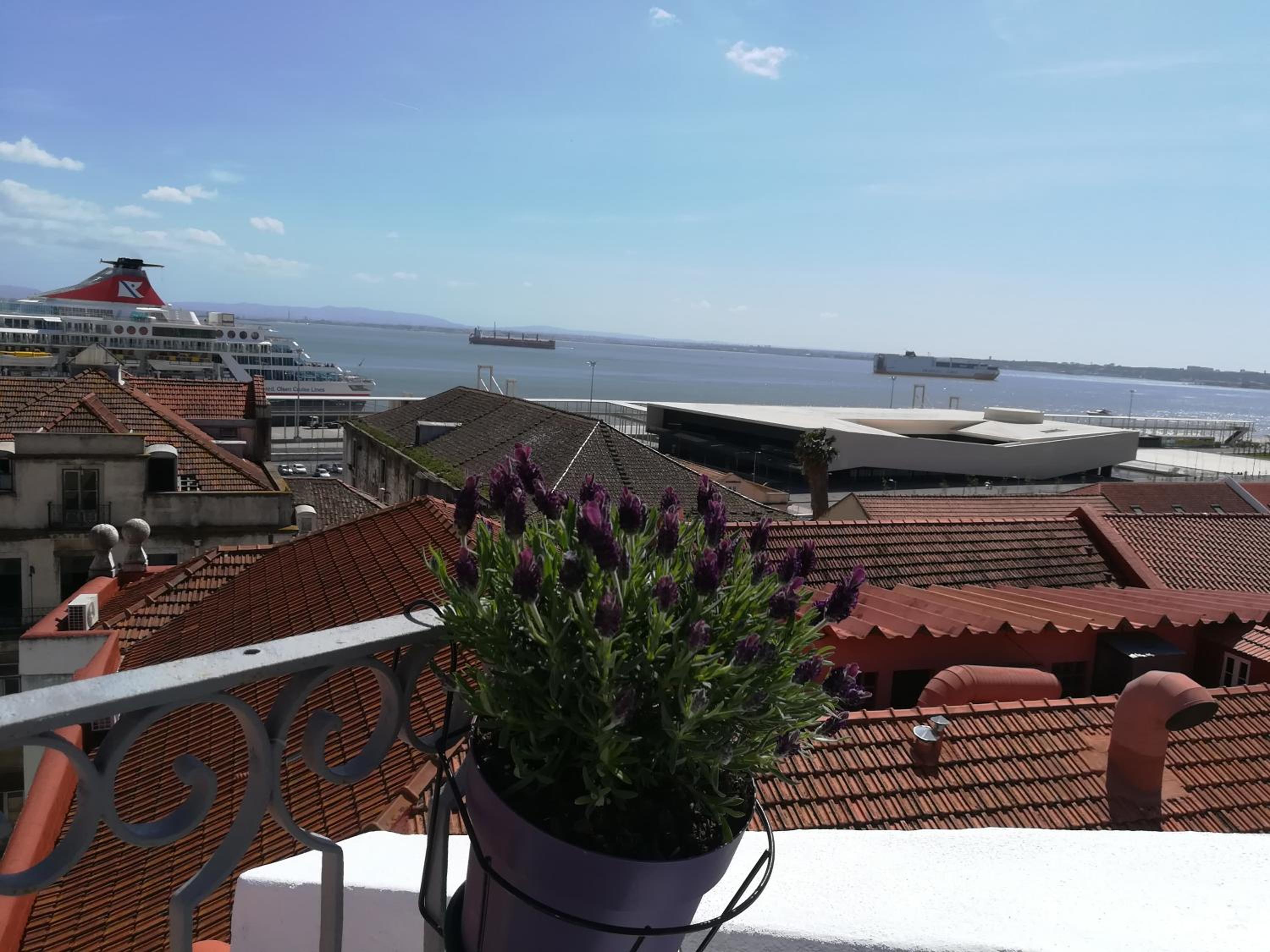 Rooftop in Alfama - Little Triplex