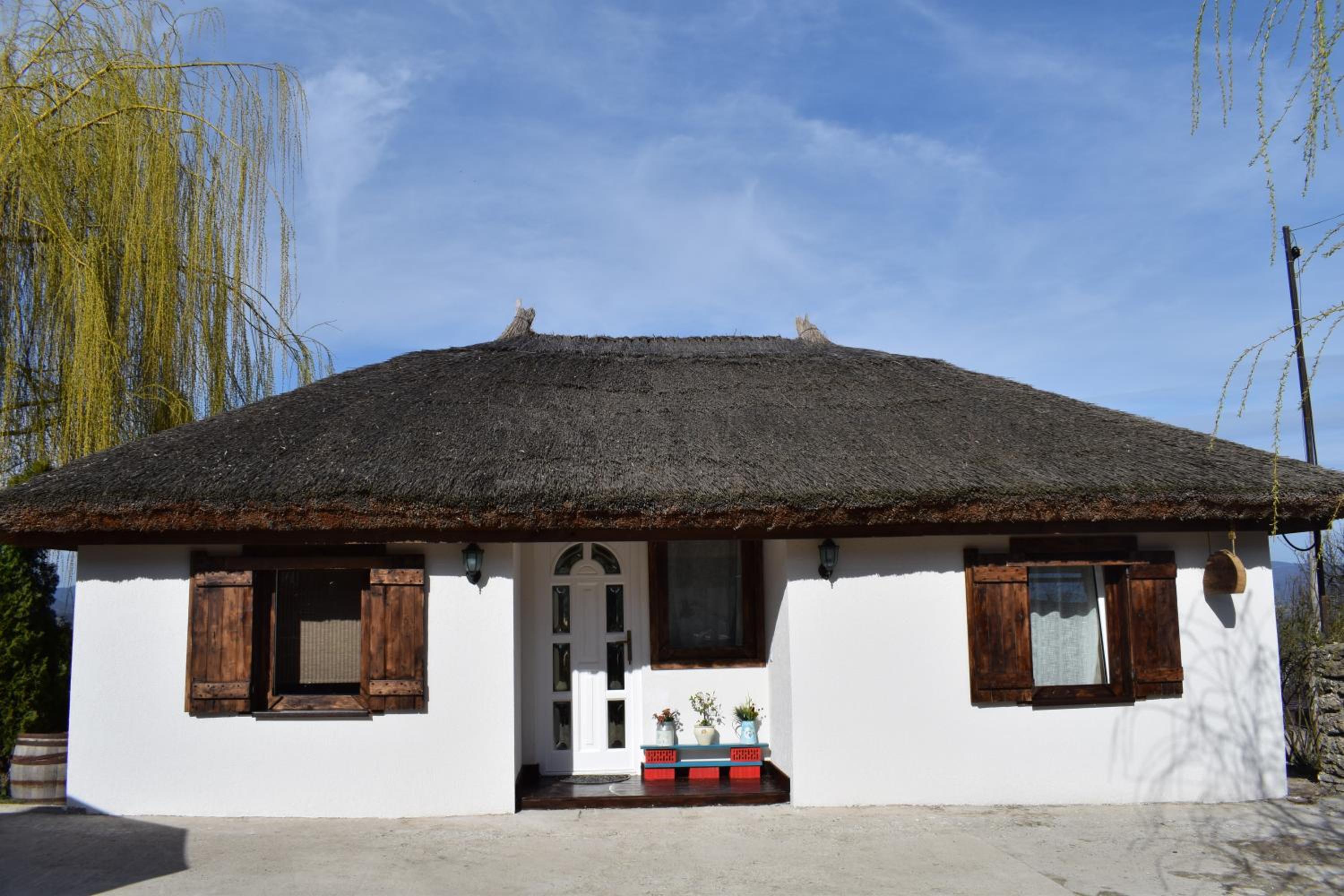 Photo 87