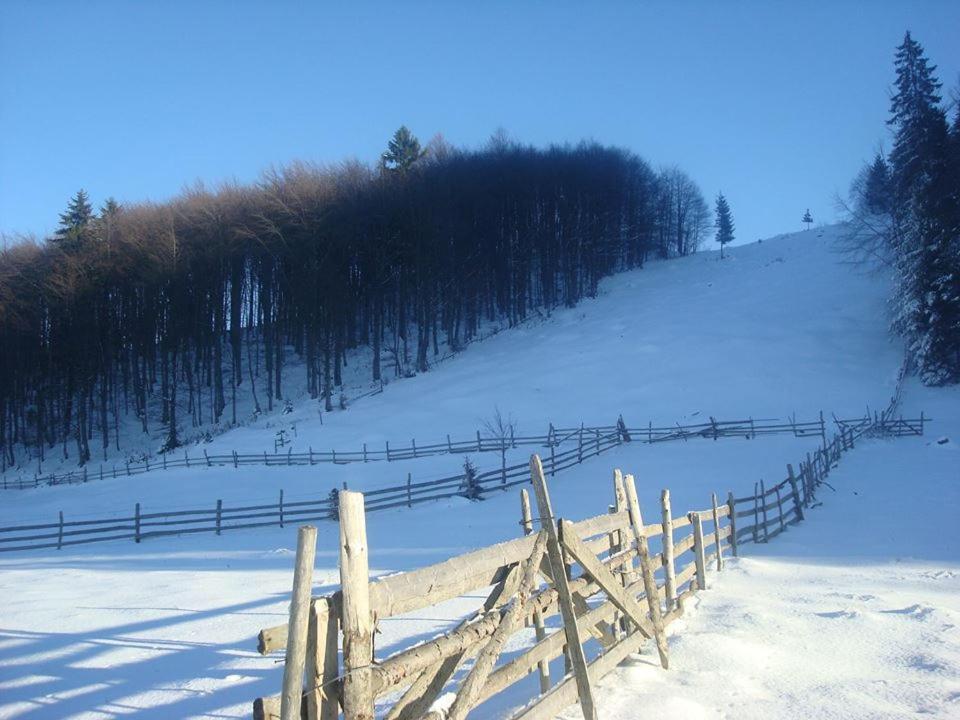 Pensiunea Edera