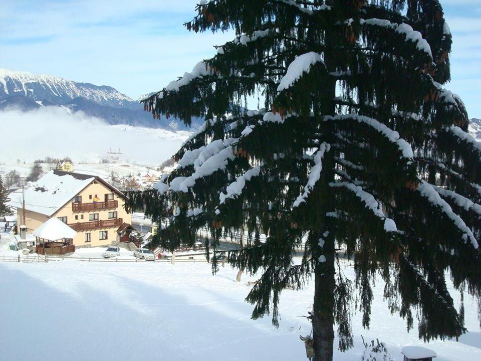 Pensiunea Edera