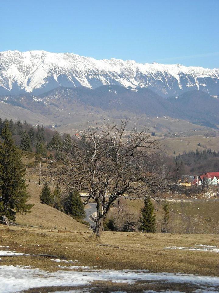 Pensiunea Edera