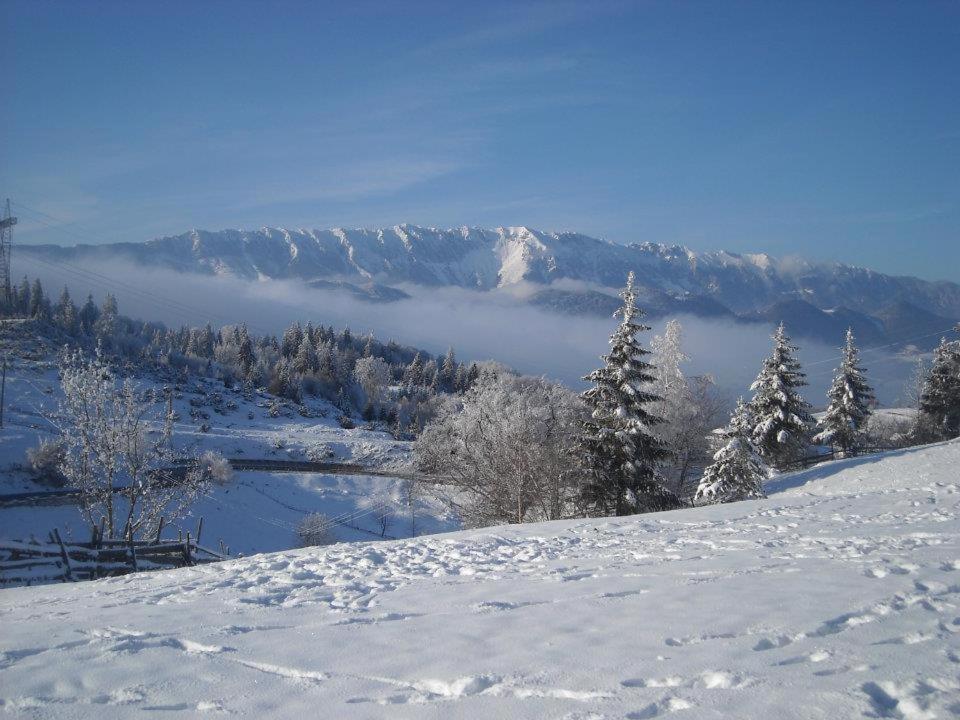 Pensiunea Edera