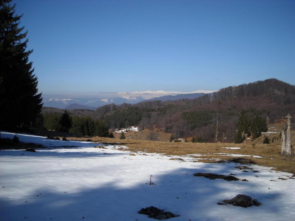 Pensiunea Edera