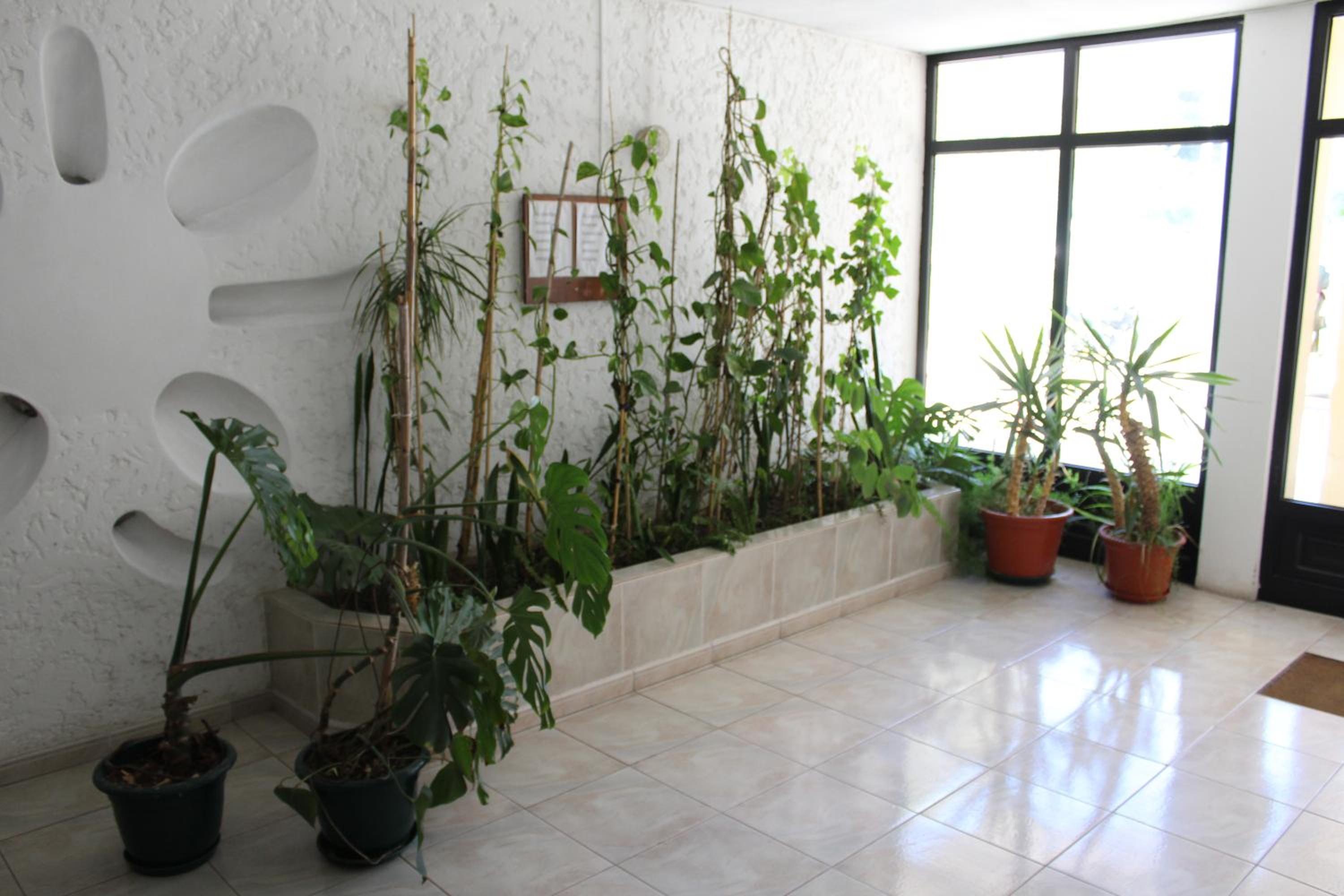 ApartamentoSolPraia - Pátio da Rocha view 3
