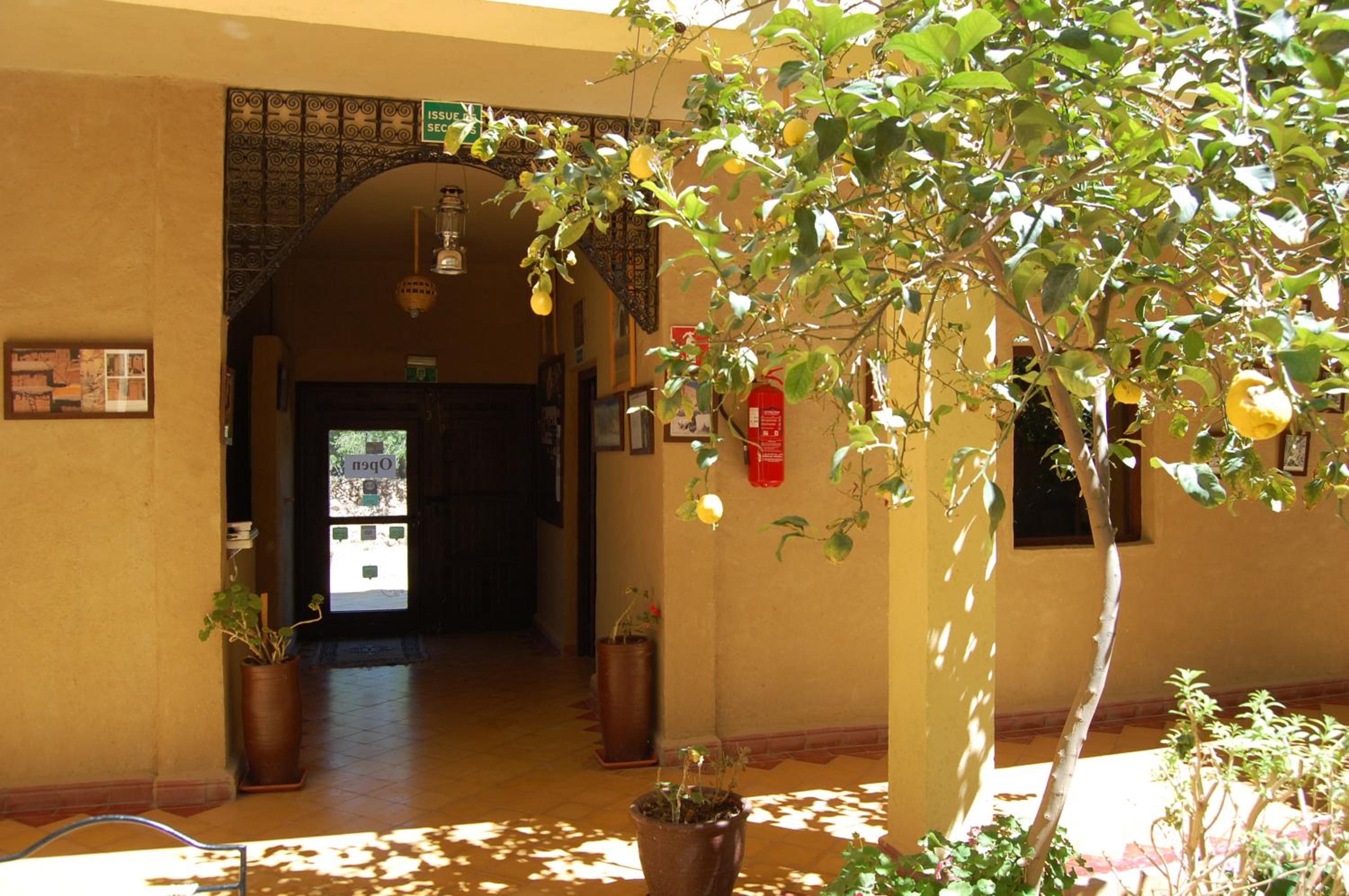 Photo 26