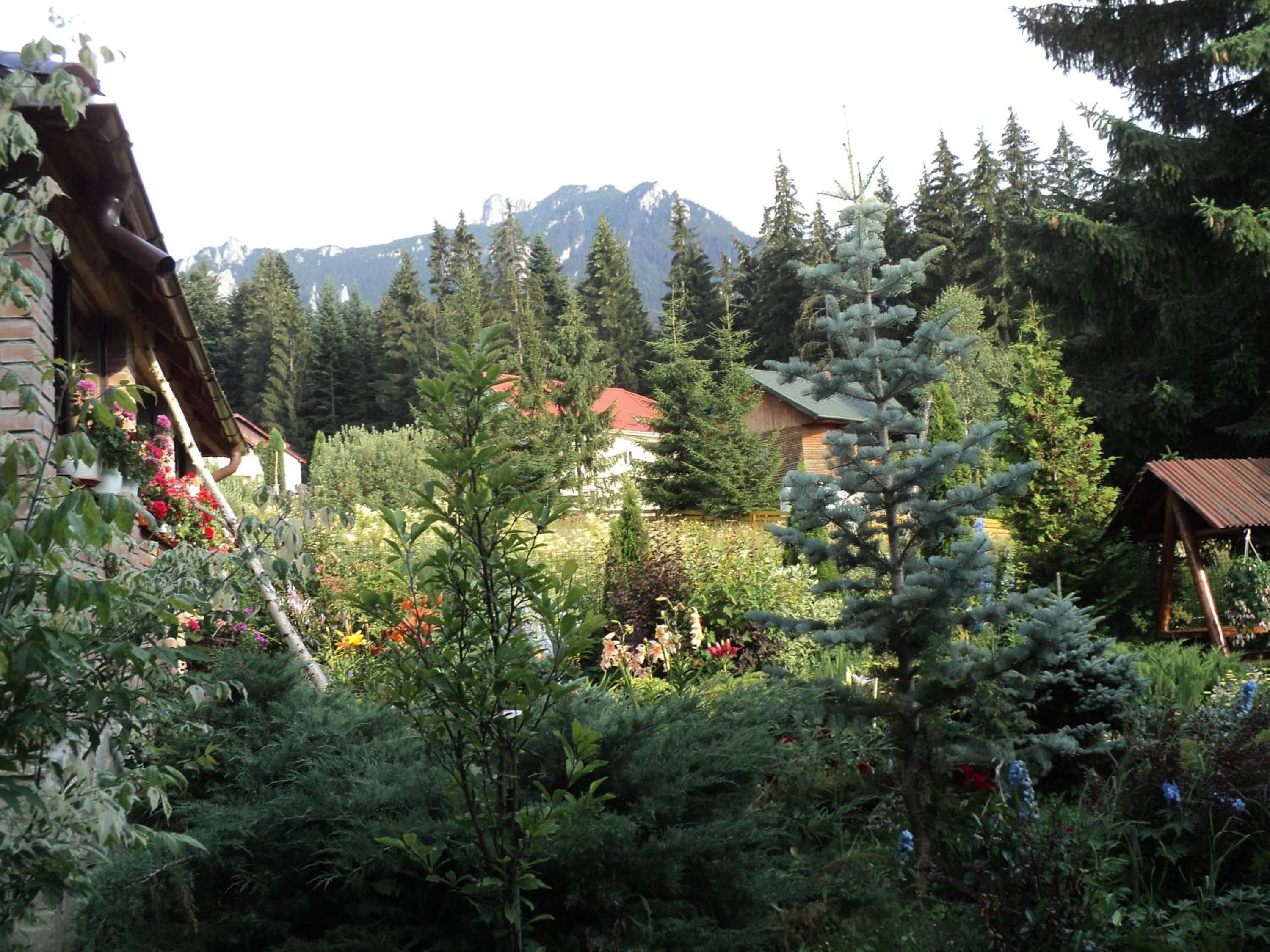 Casa Serban view 3