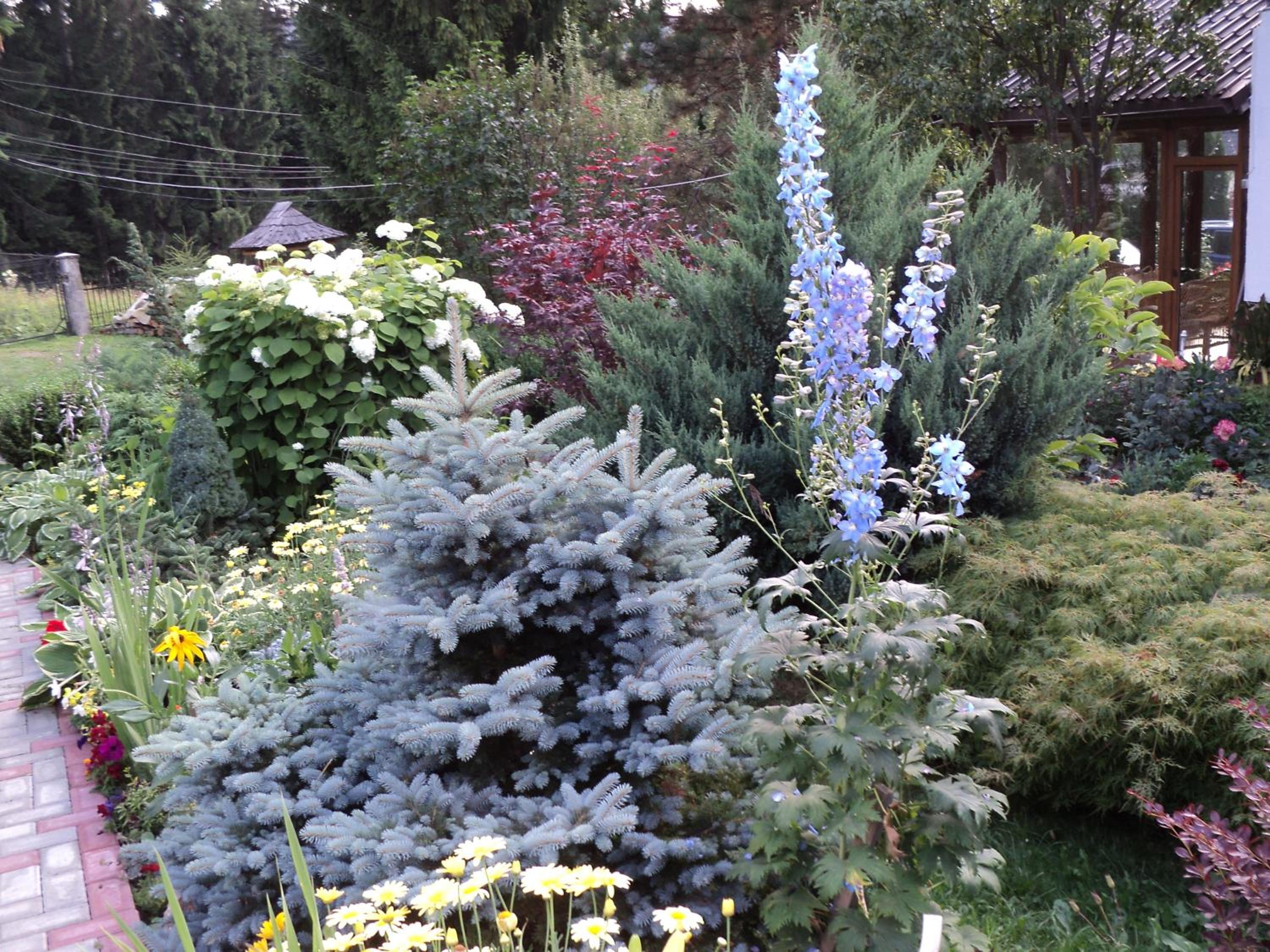 Photo 29