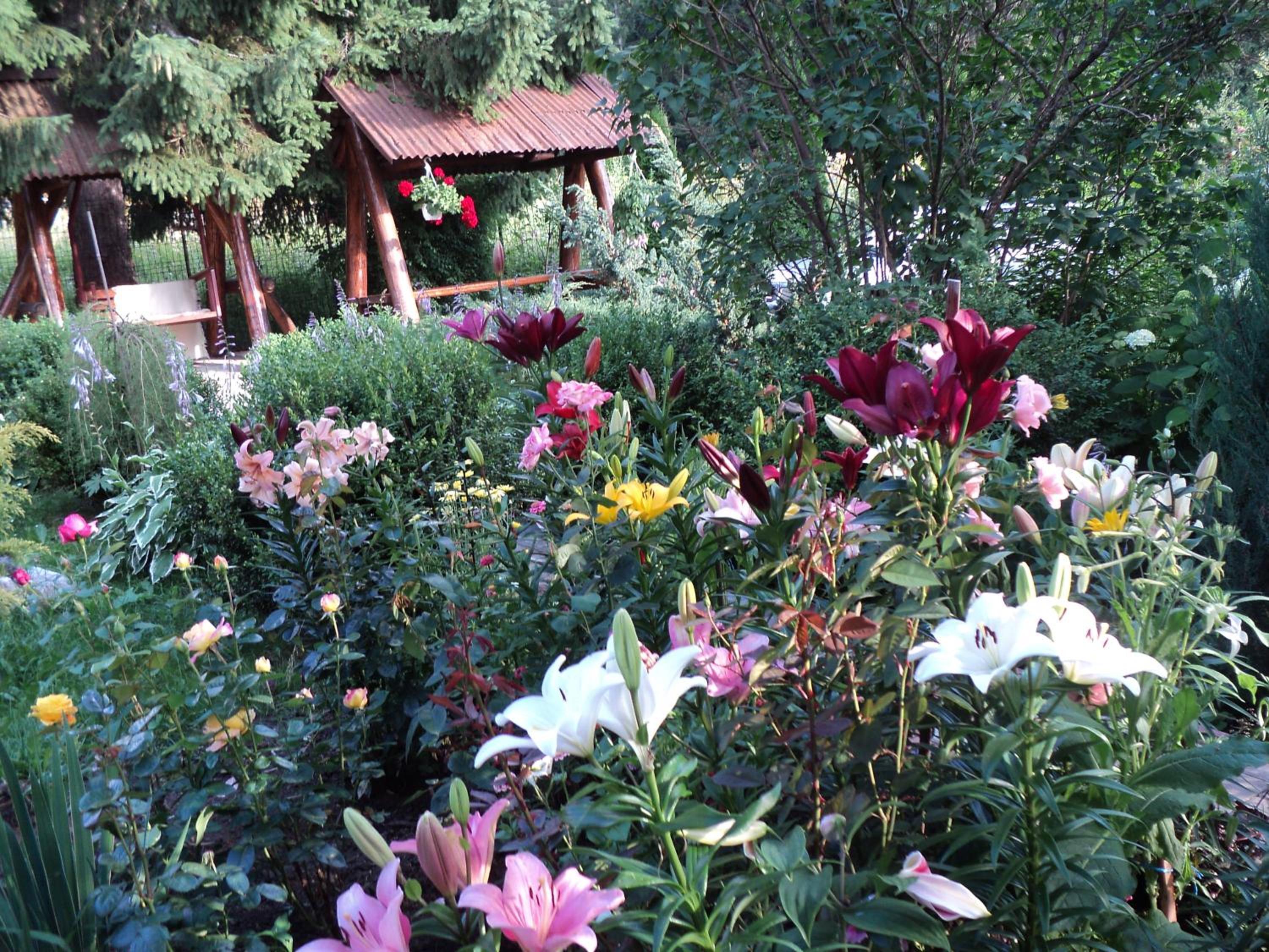 Photo 20