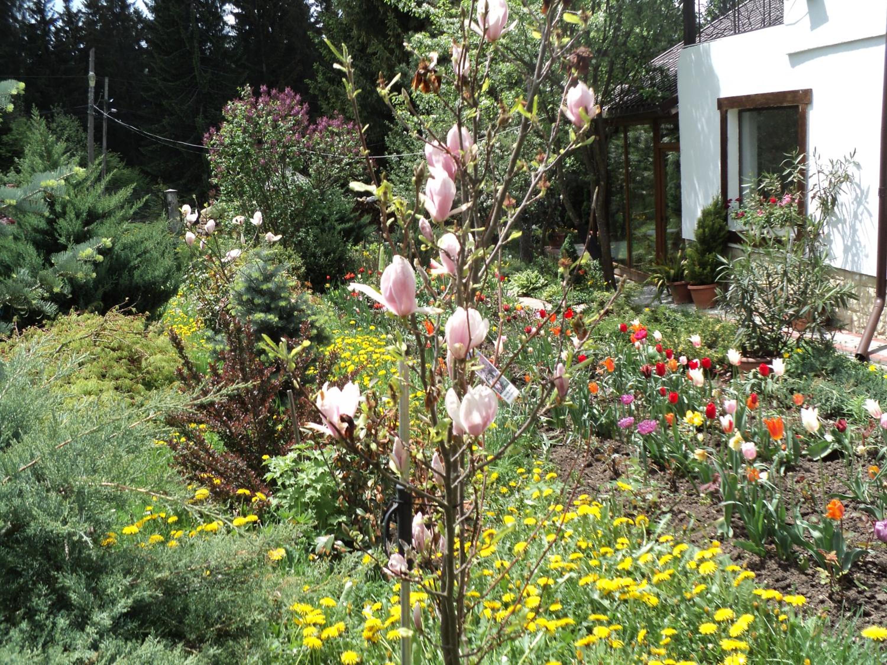 Photo 27
