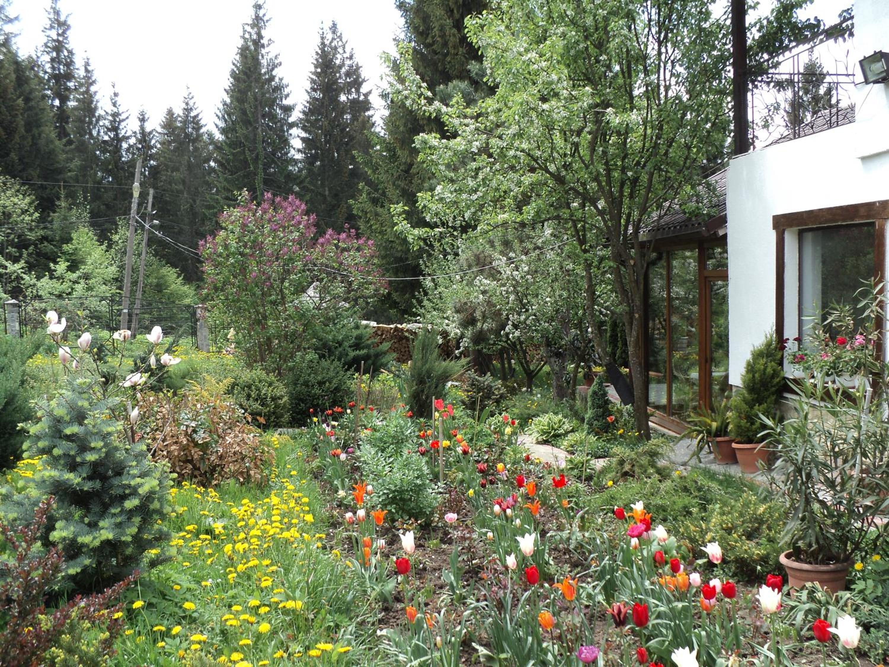 Photo 25
