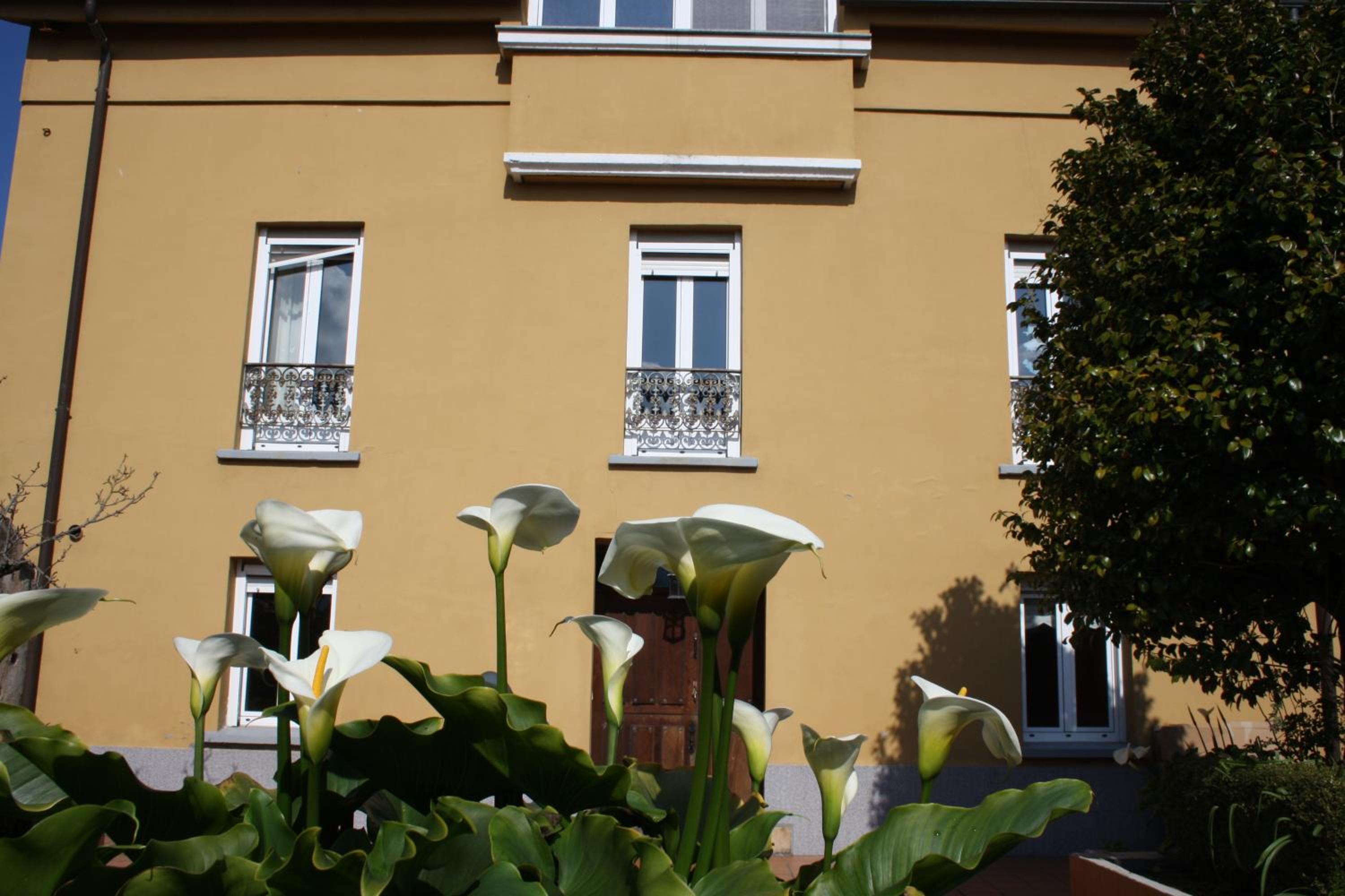 Casa Samuel