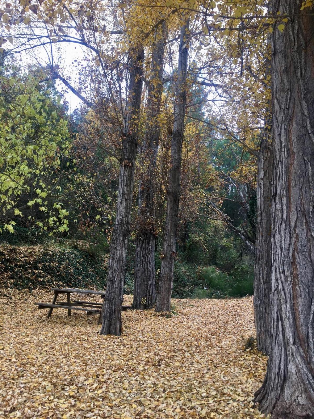 Photo 40