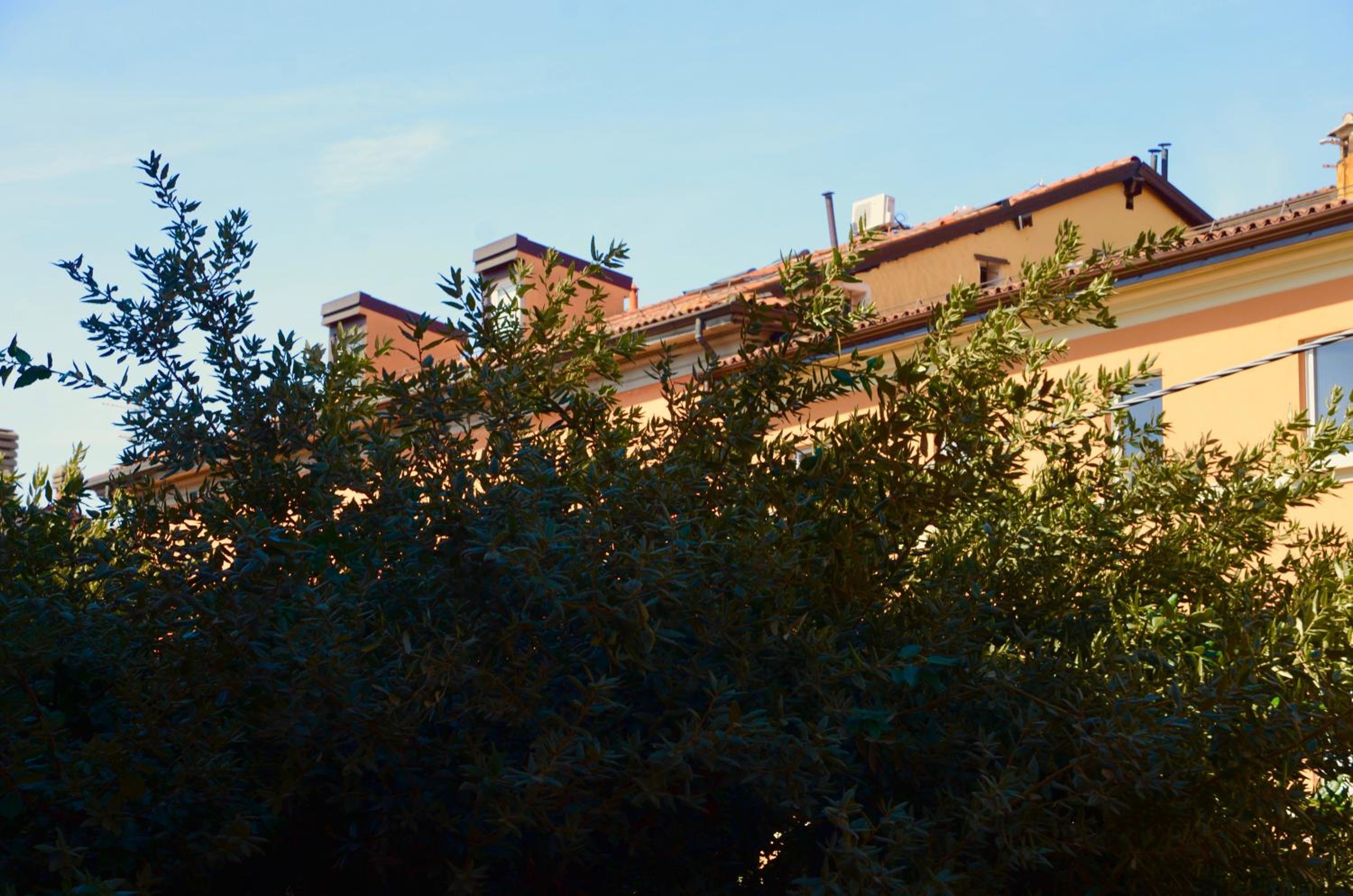 My Home in Bologna - La Rossa - Image 4