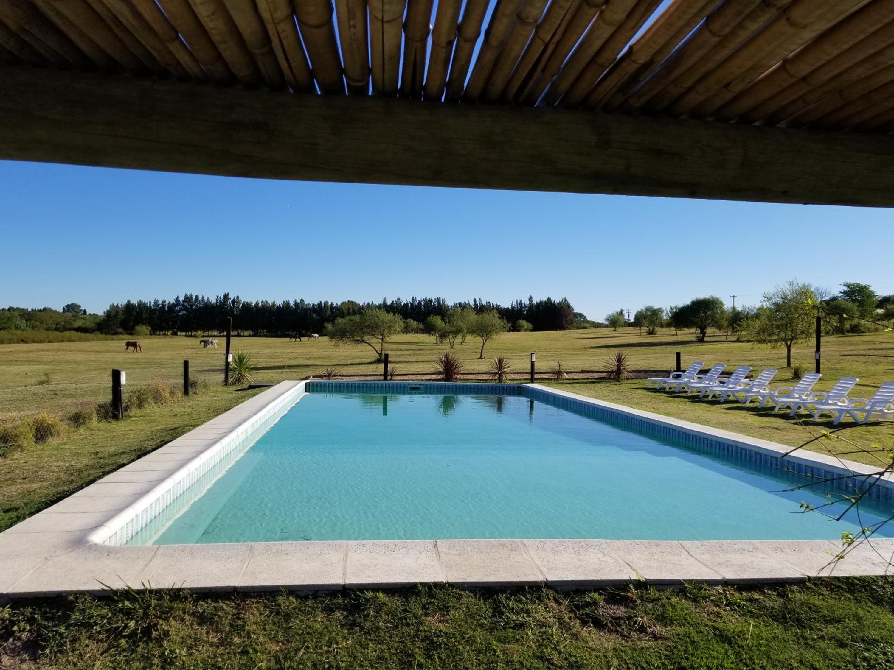 Cabañas Norden San Pedro