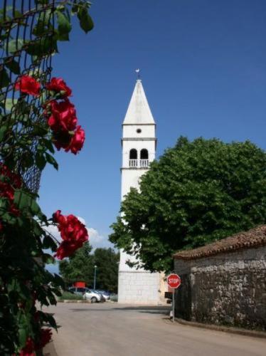 Photo 27