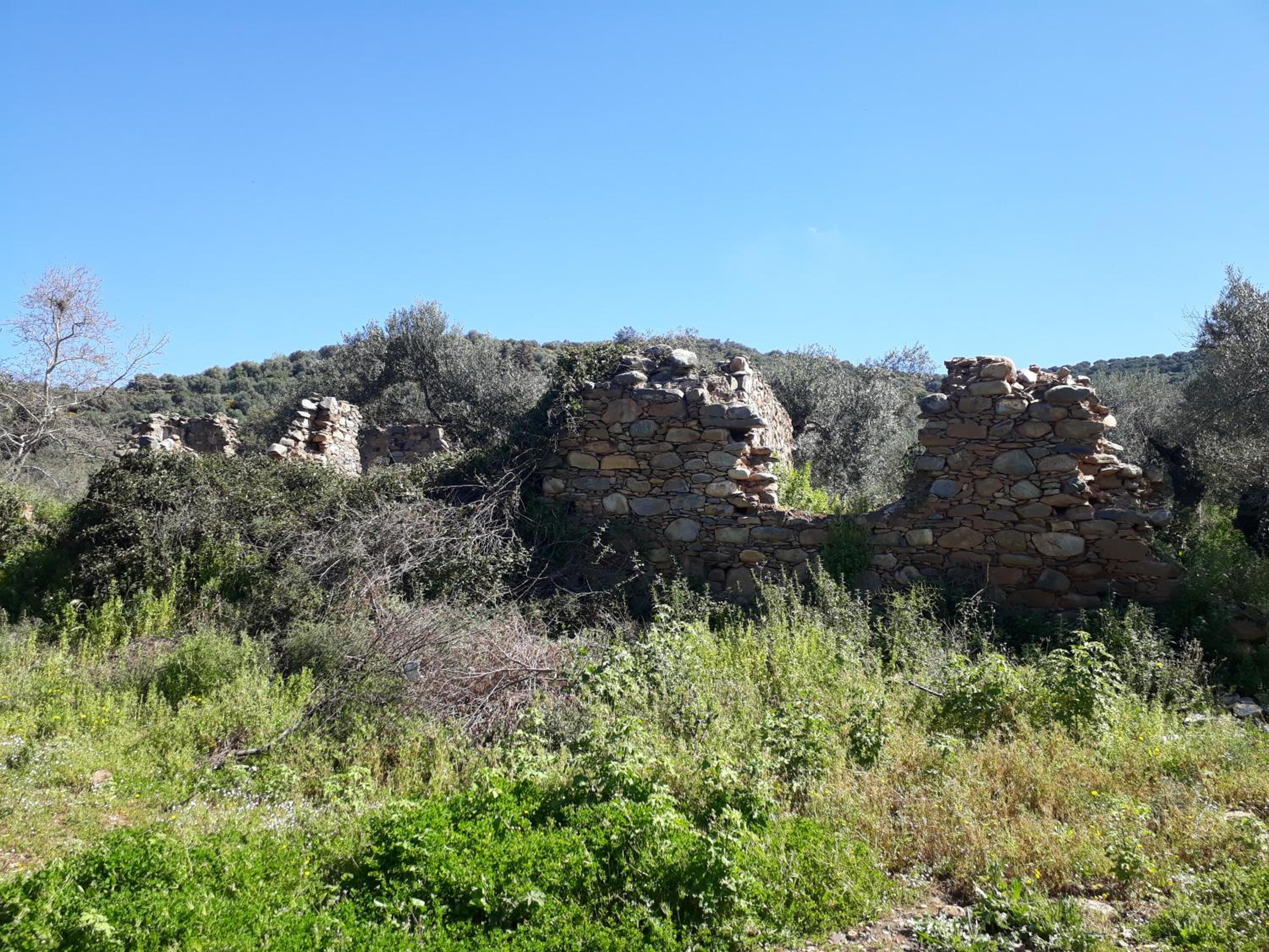 Photo 22