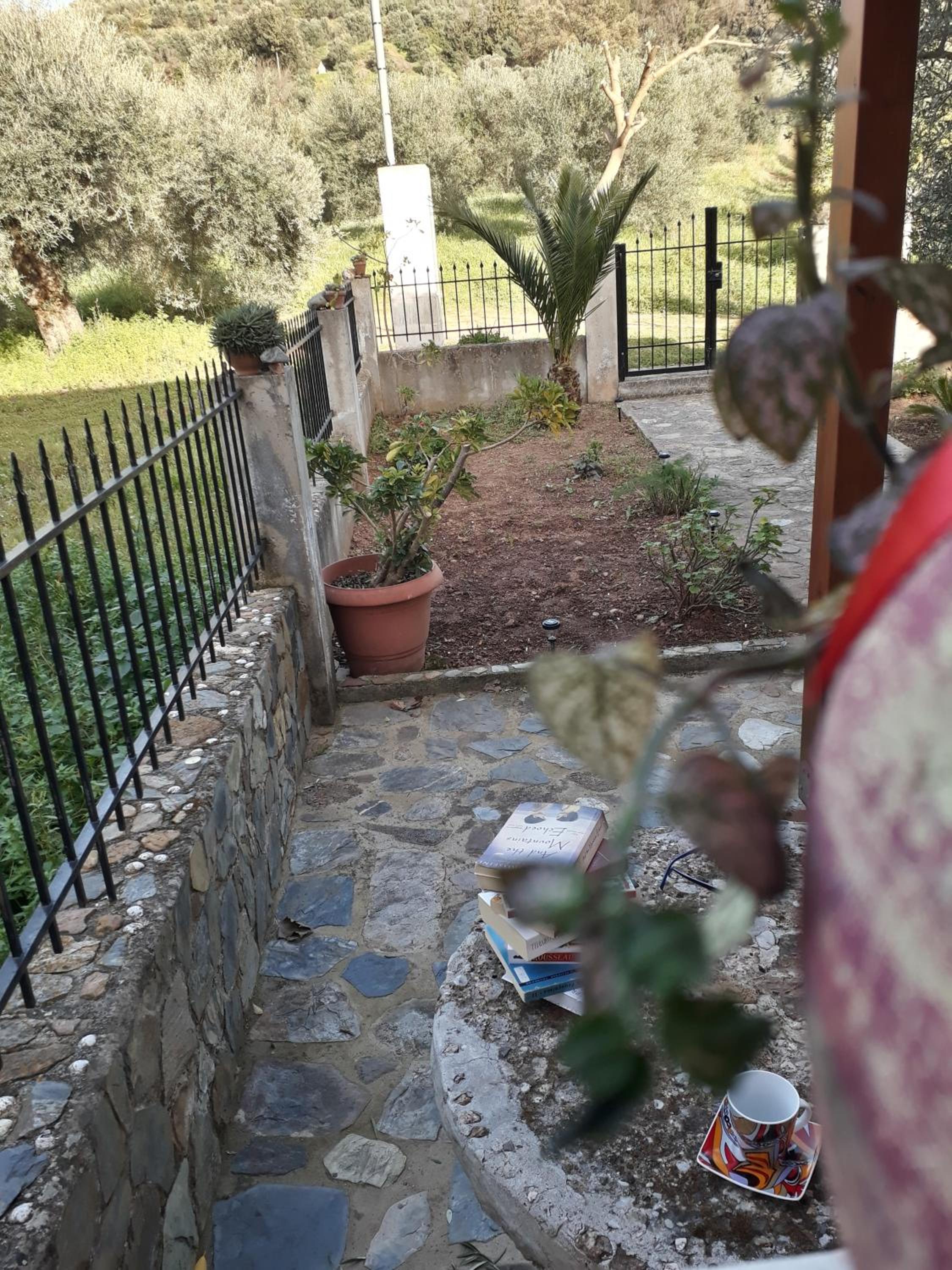 Photo 19