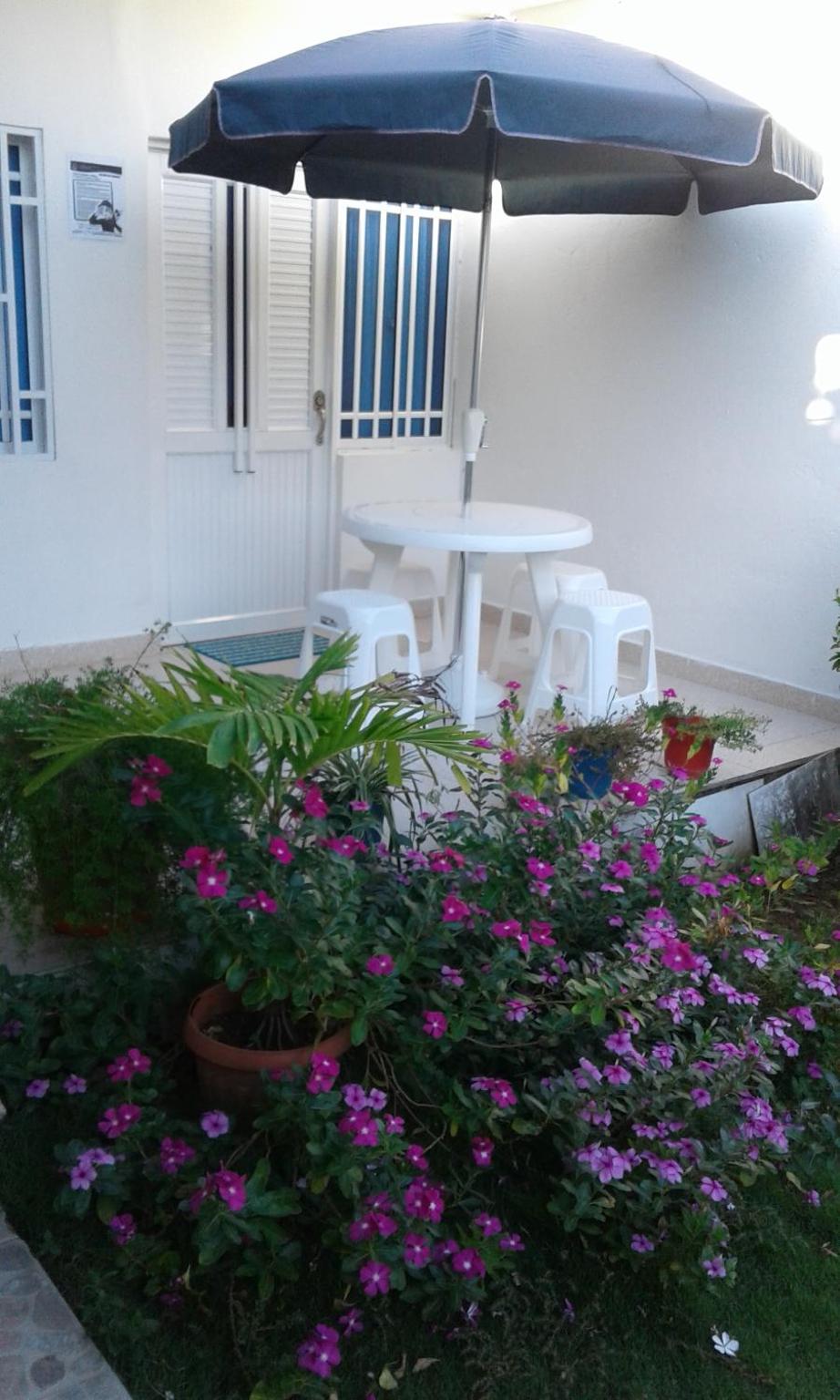 Miss Margaritas´s House
