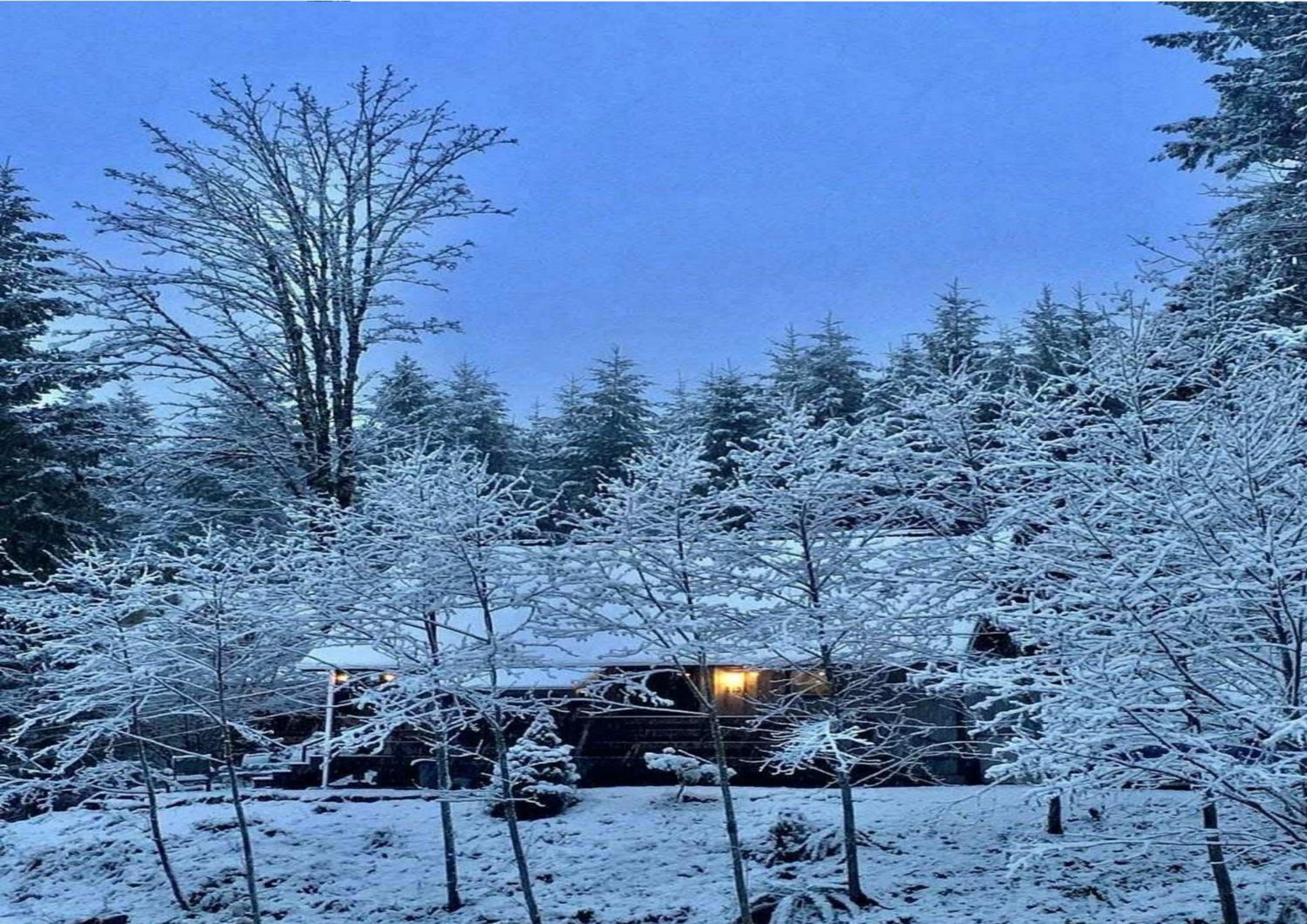 Packwood Ski & Vacation Getaway