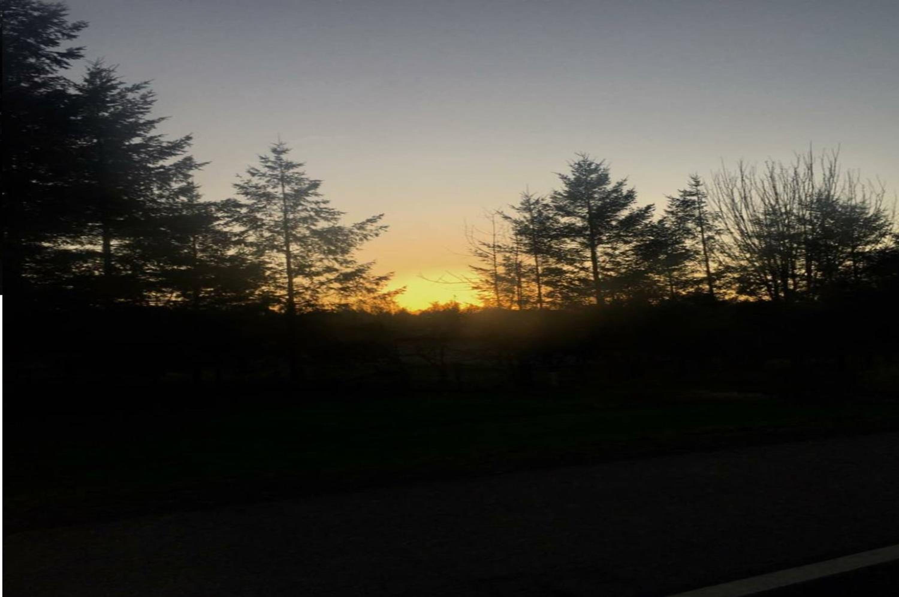 Packwood Ski & Vacation Getaway