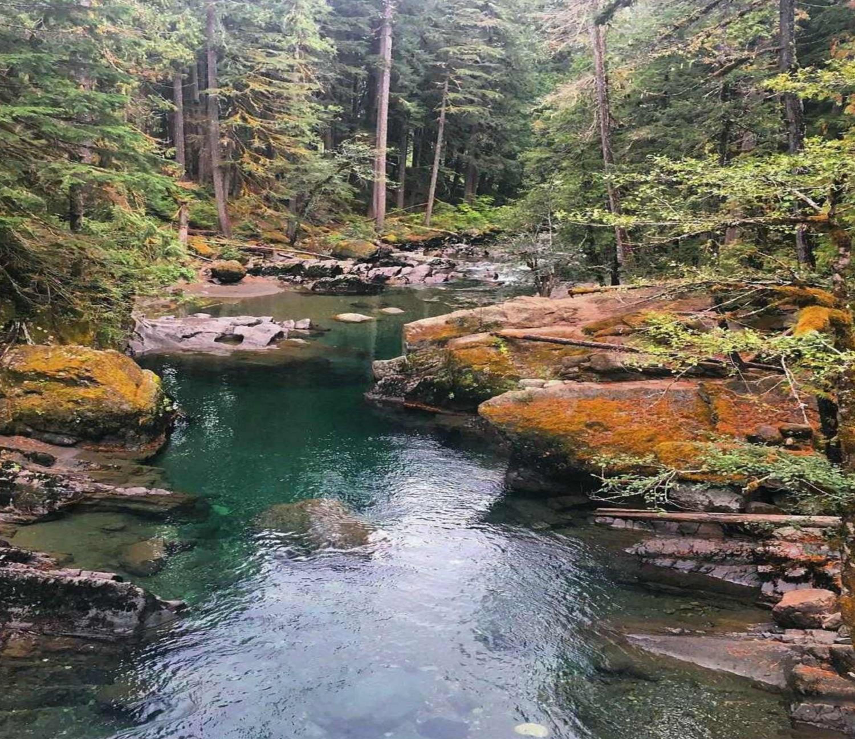 Packwood Ski & Vacation Getaway