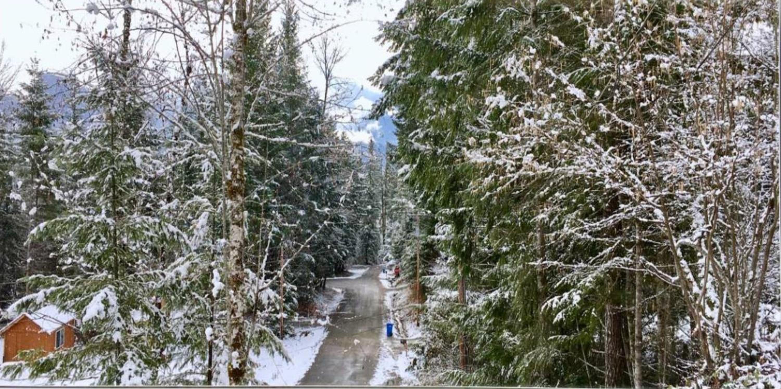 Packwood Ski & Vacation Getaway