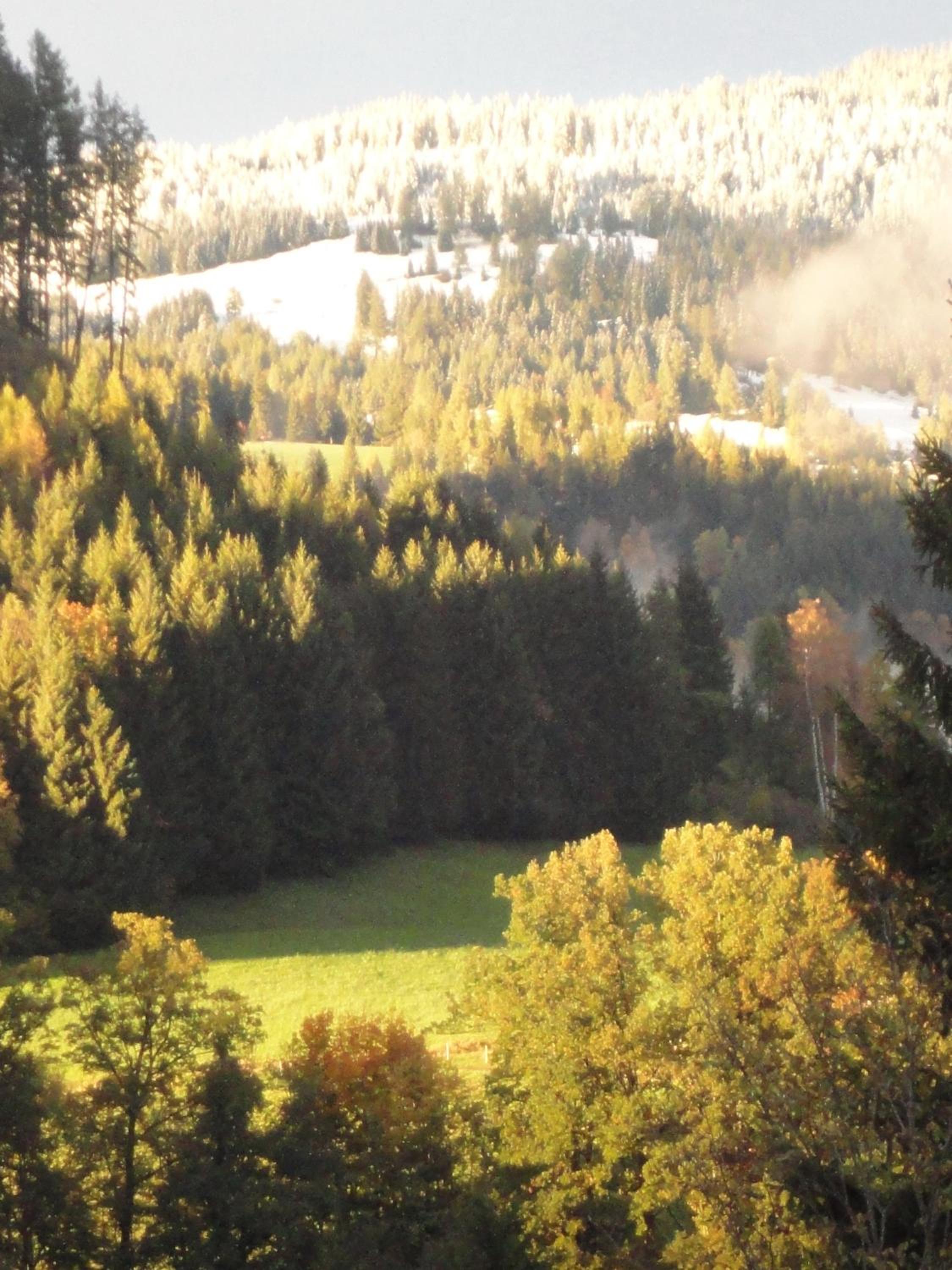 Lindenhof