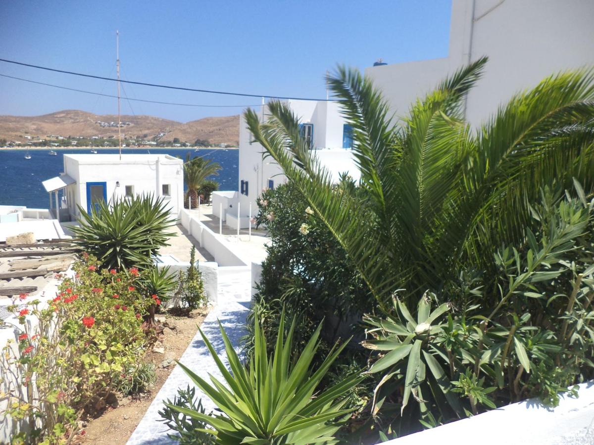 Photo 14