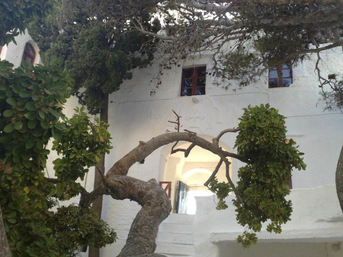 Photo 15