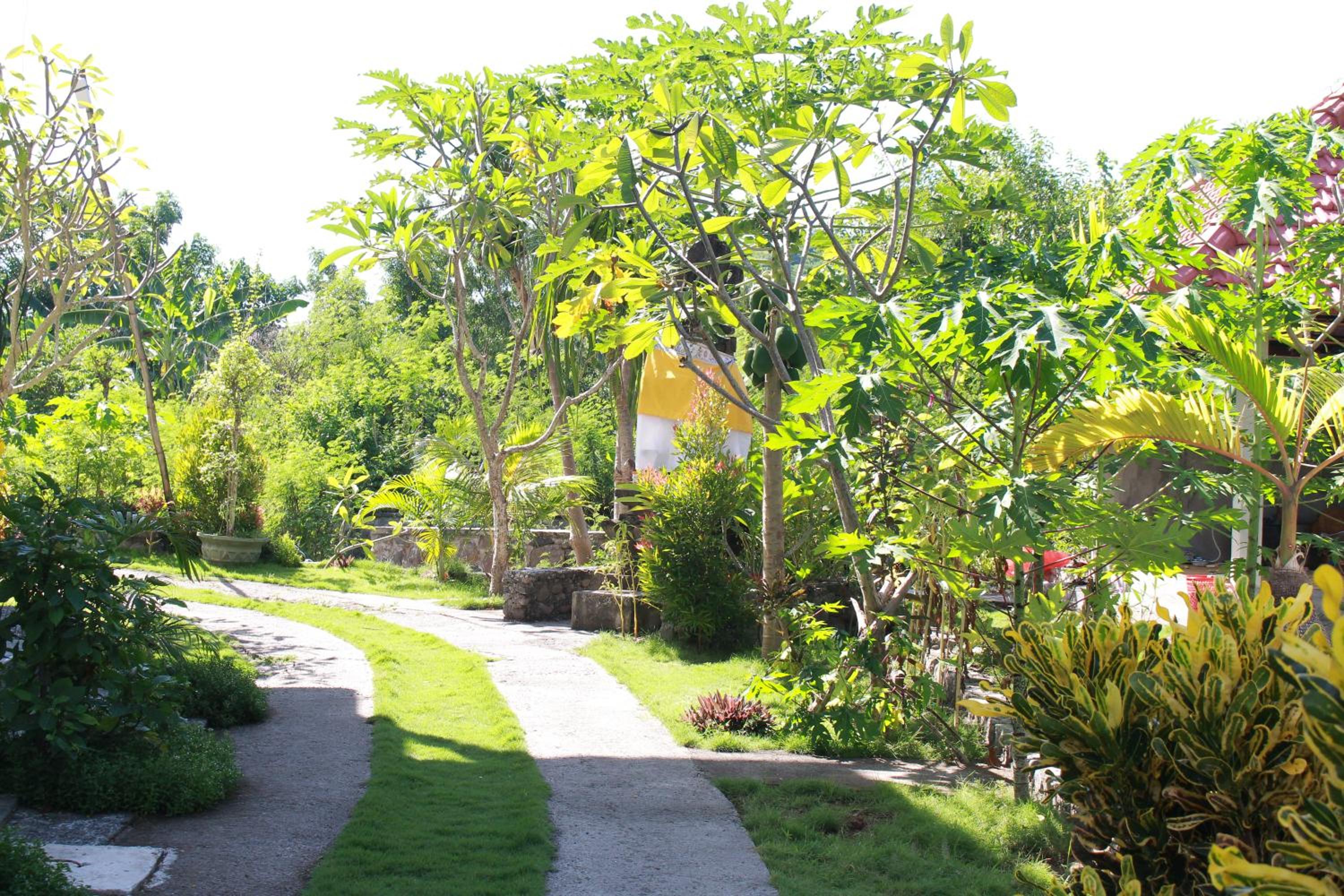 Taman Padi Villa